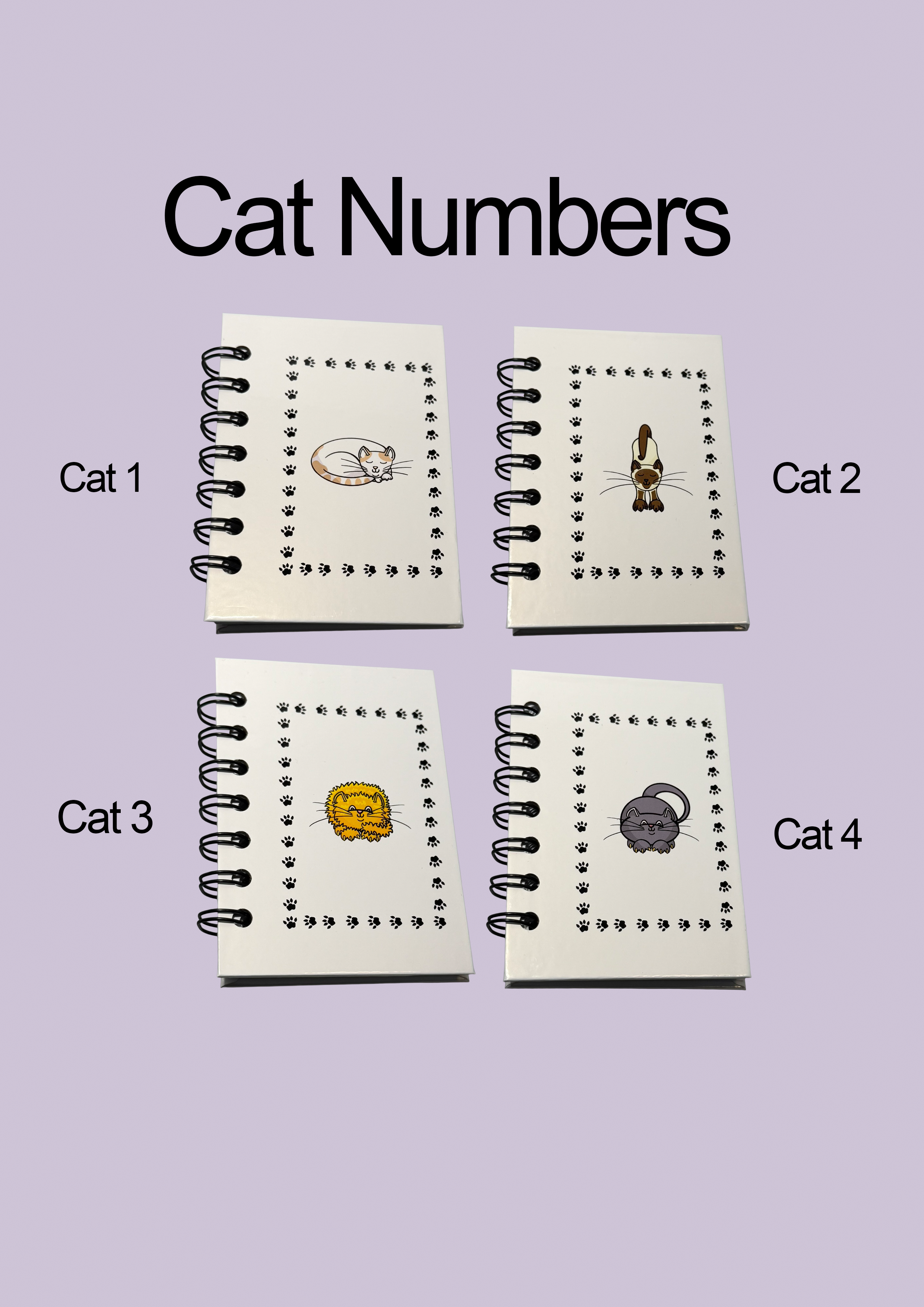 cat number.png