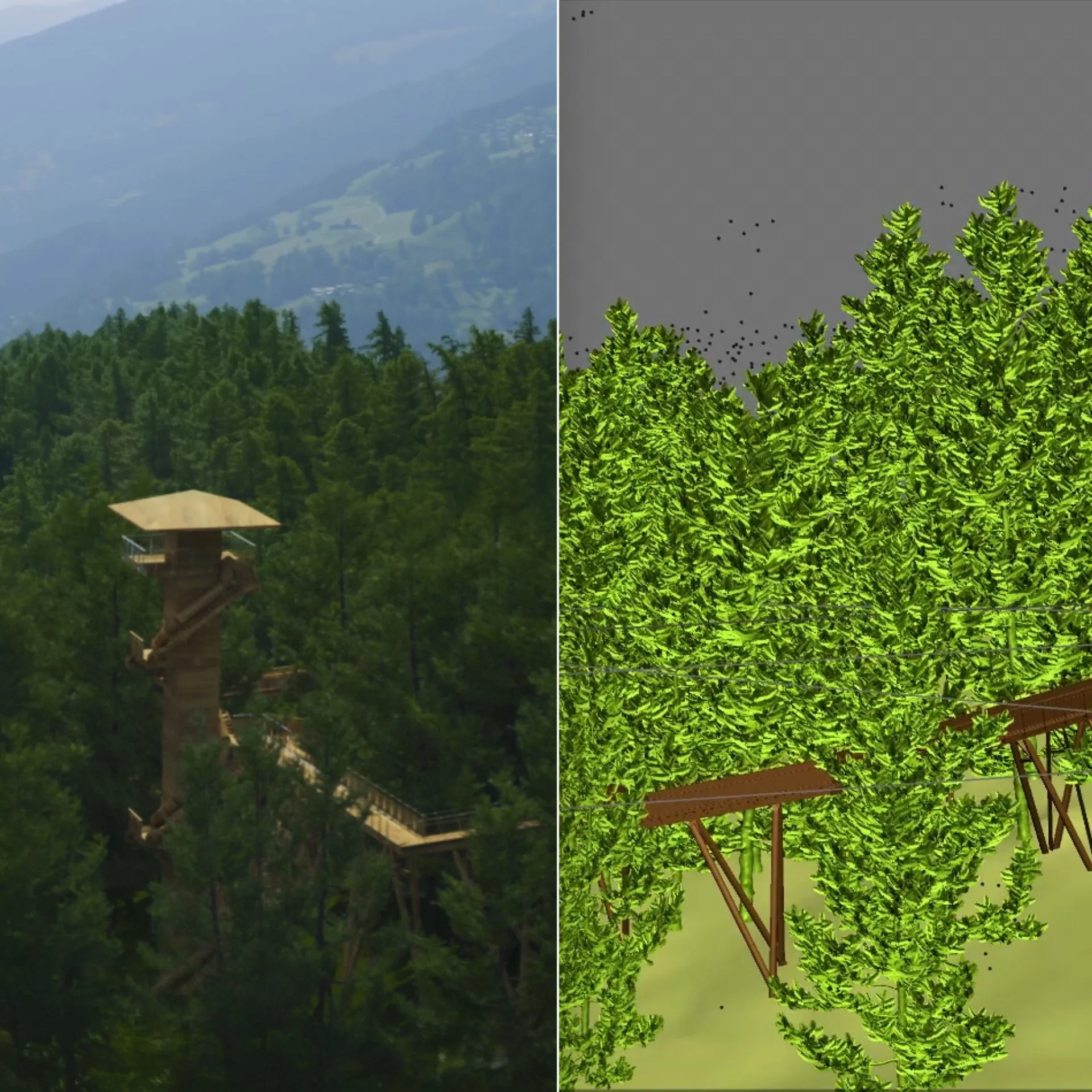 Vor lauter Bäumen den Wald nicht sehen