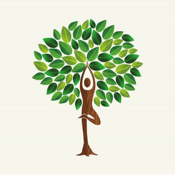 Root to Rise Yoga