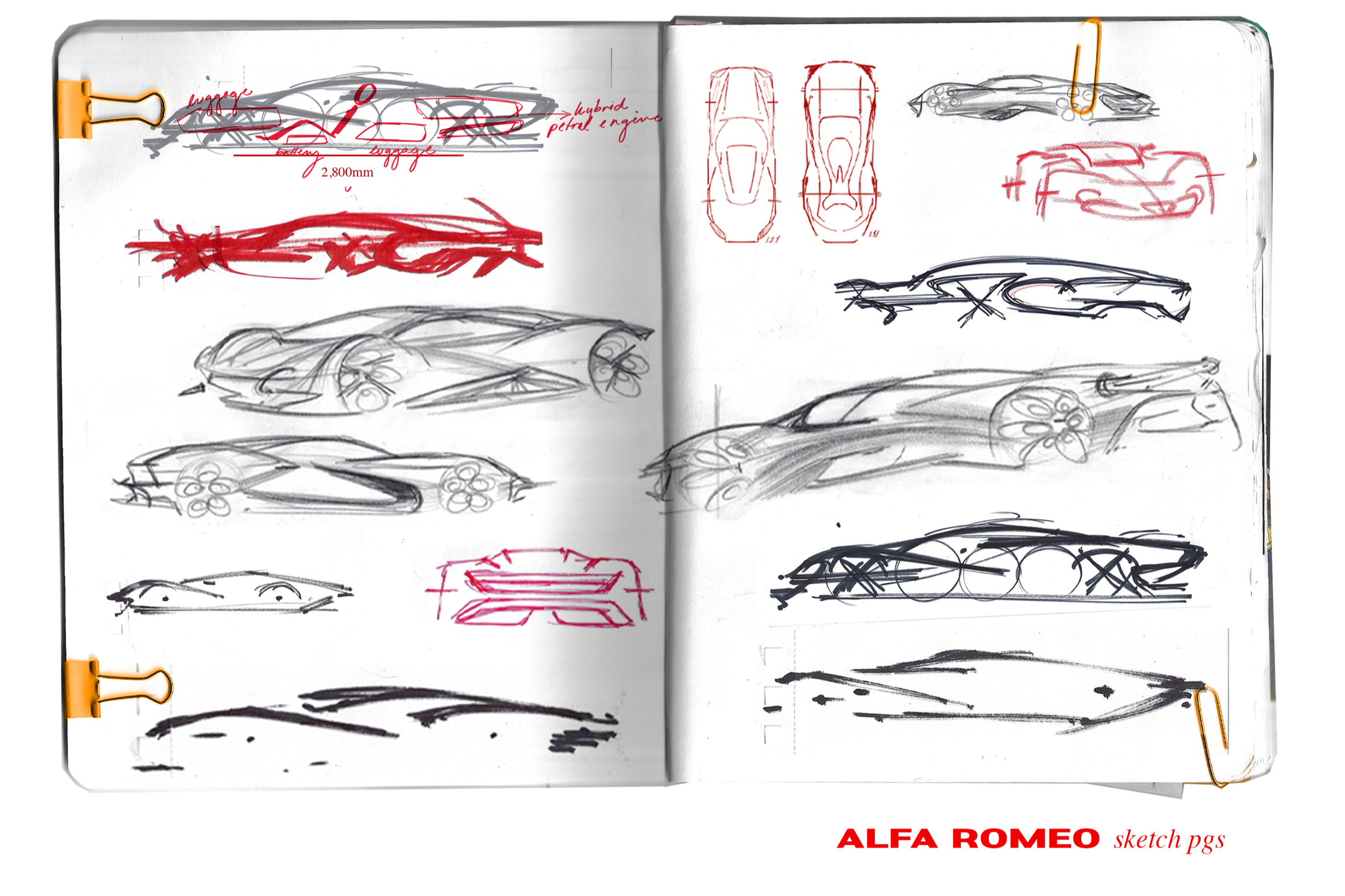 alfa.png