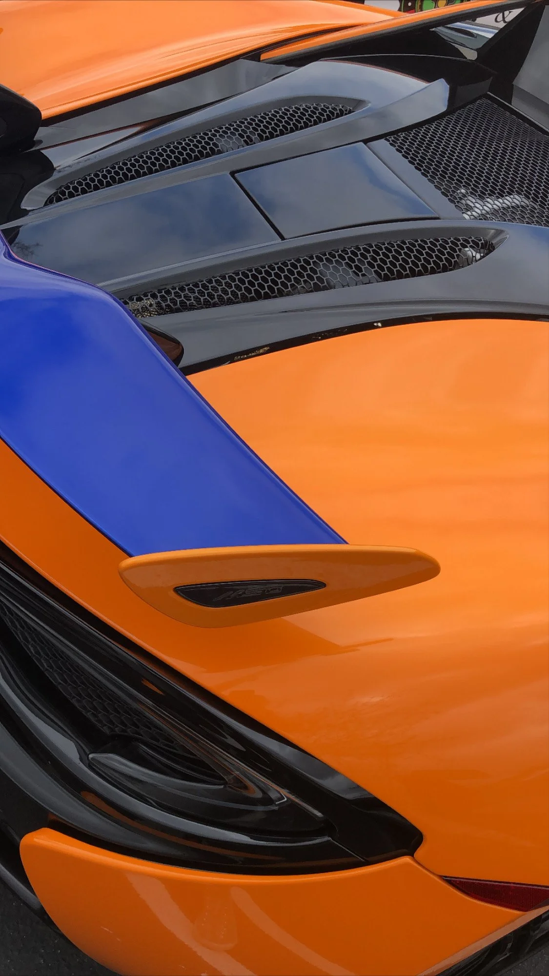 20E48B41-0DD1-467D-950D-5DA382B2F508.jpg