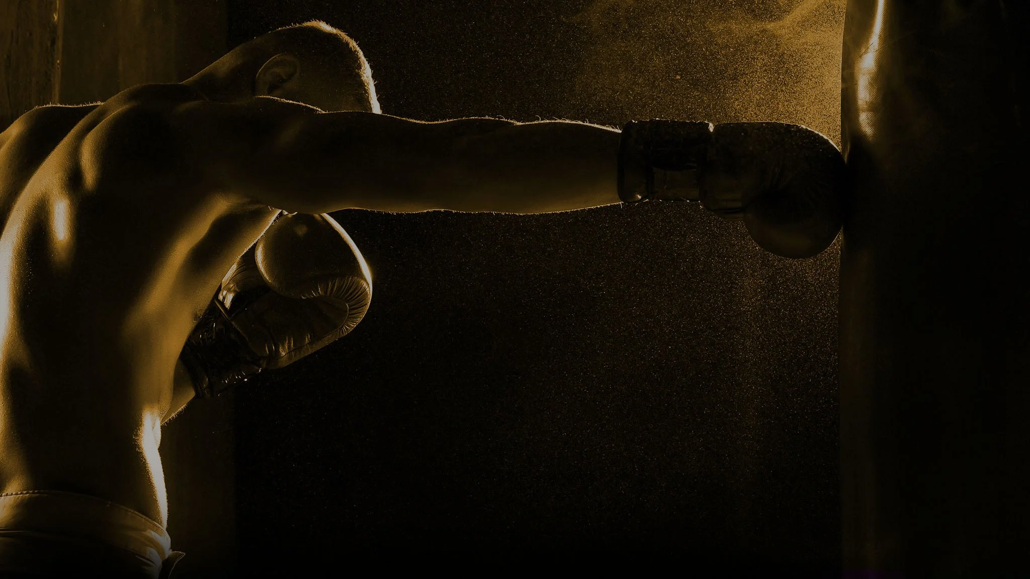 BOXLAB_youtube headre3.JPEG