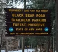 Long Pond and the Willowemoc Creek