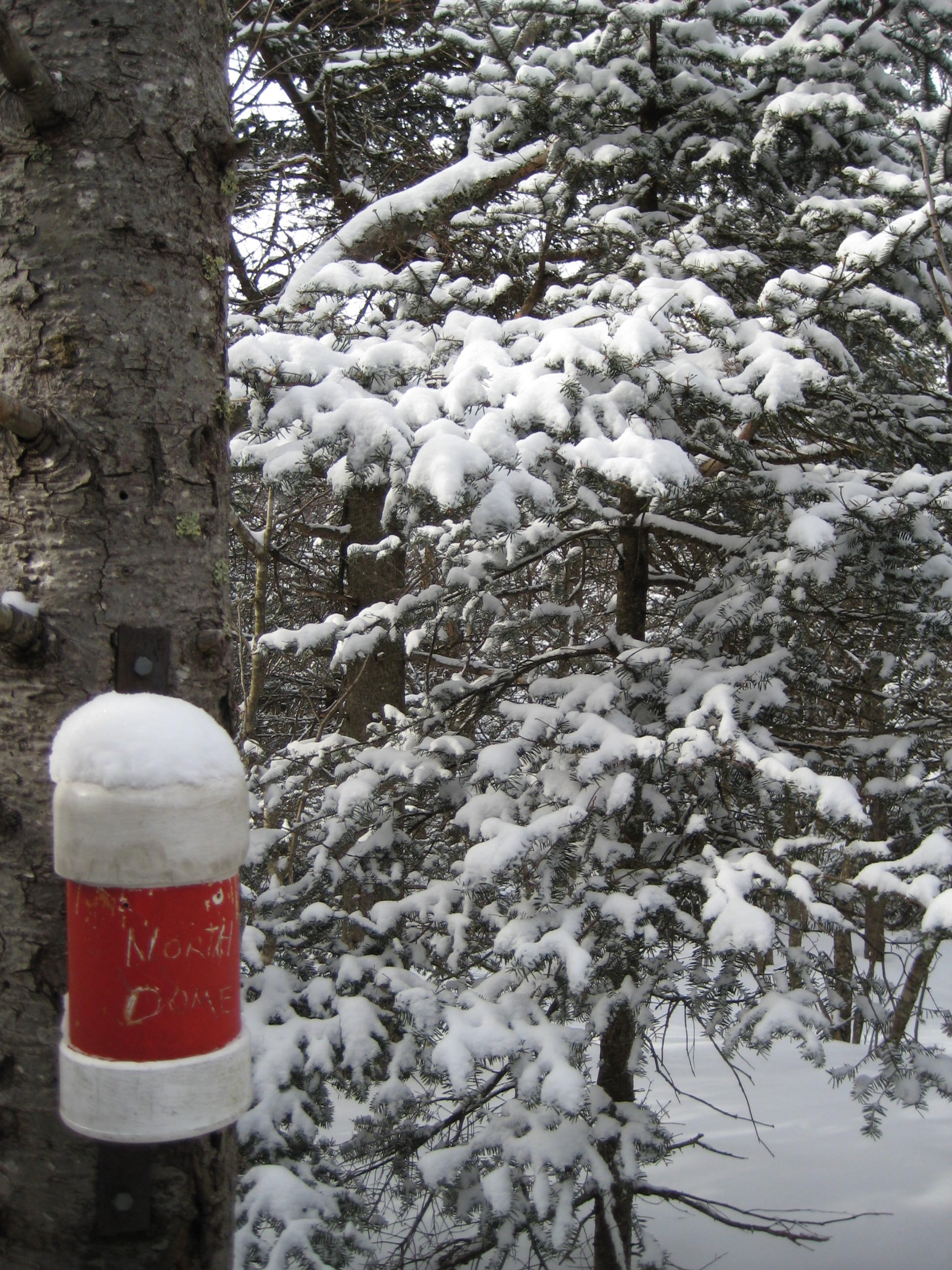 North Dome & Mount Sherril