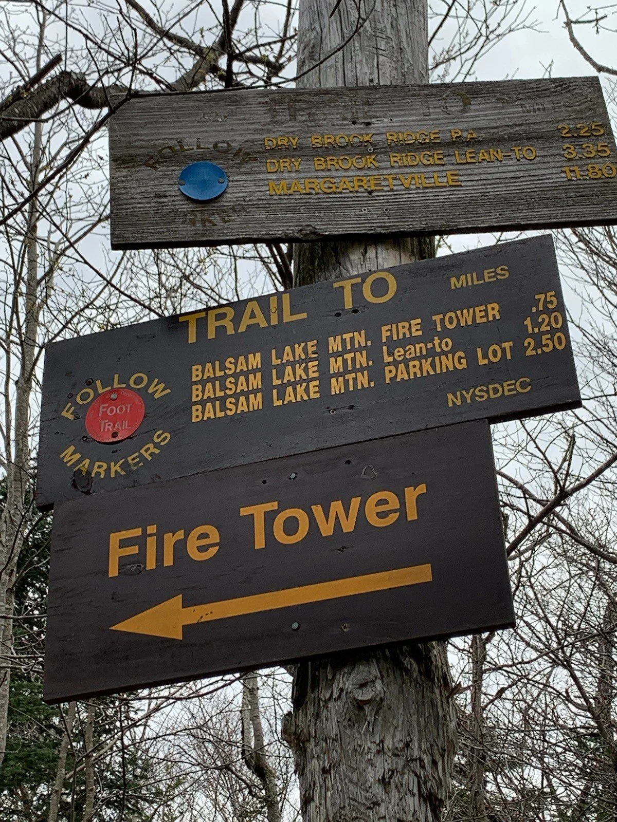 Balsam Lake Mountain via Mill Brook Ridge from Alder Lake