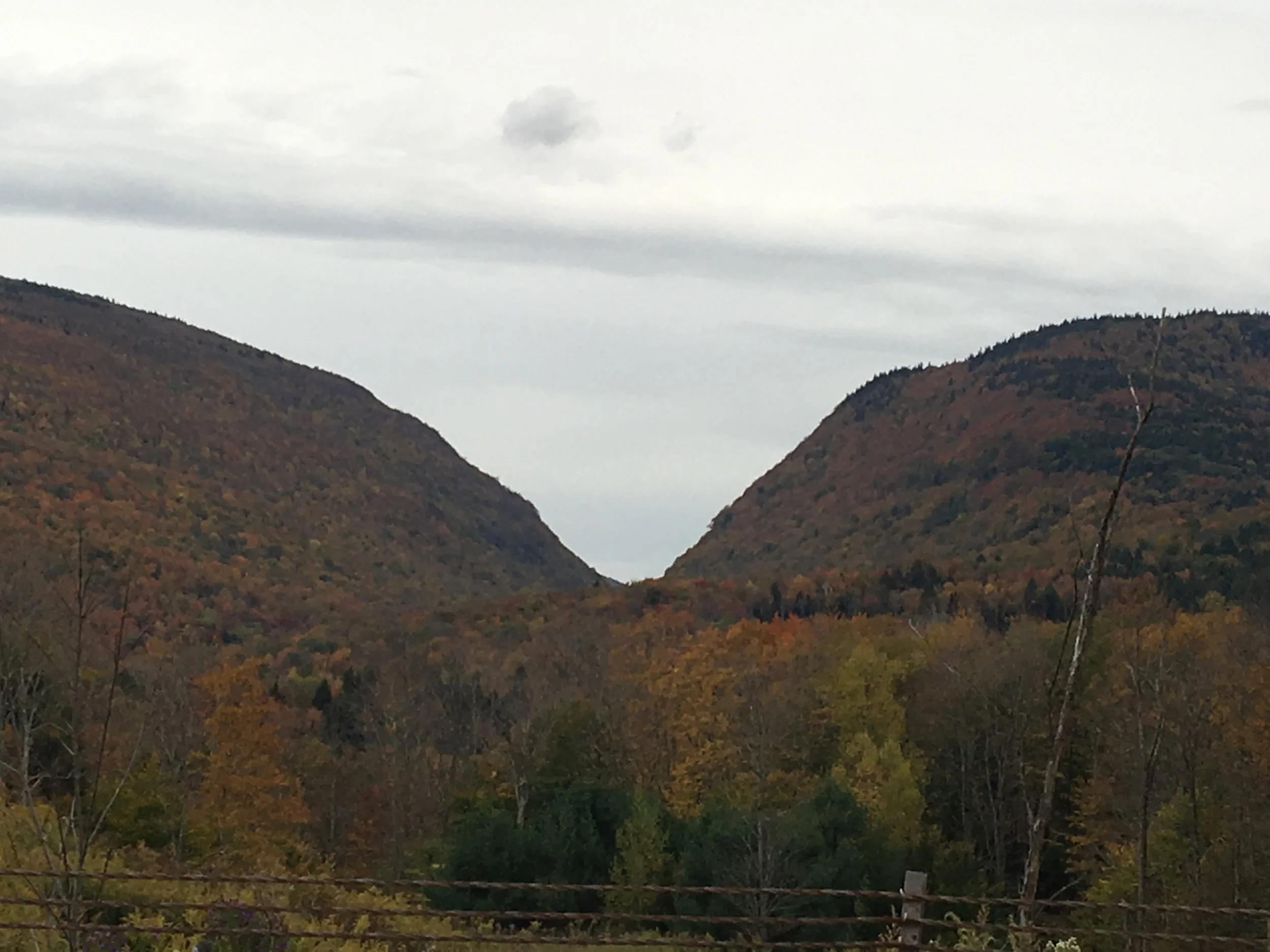 Hunter Mountain from Becker Hollow