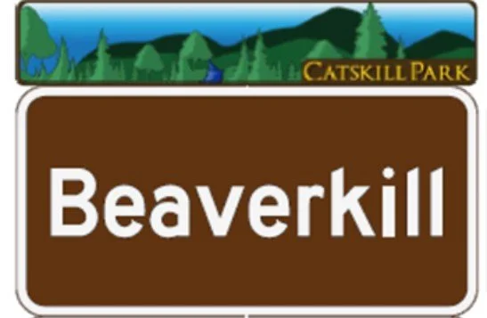 Neversink - Hardenburgh Trail