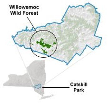 Willowemoc Trails