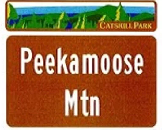 Friday, Balsam Cap, Rocky, Lone, Table &amp; Peekamoose Mountains
