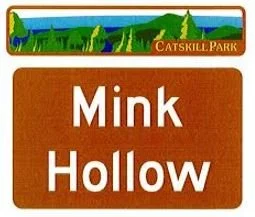 Plateau Mountain from Mink Hollow South