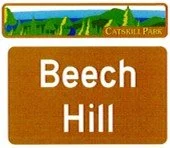 Beech Hill to Little Spring Brook Rd.
