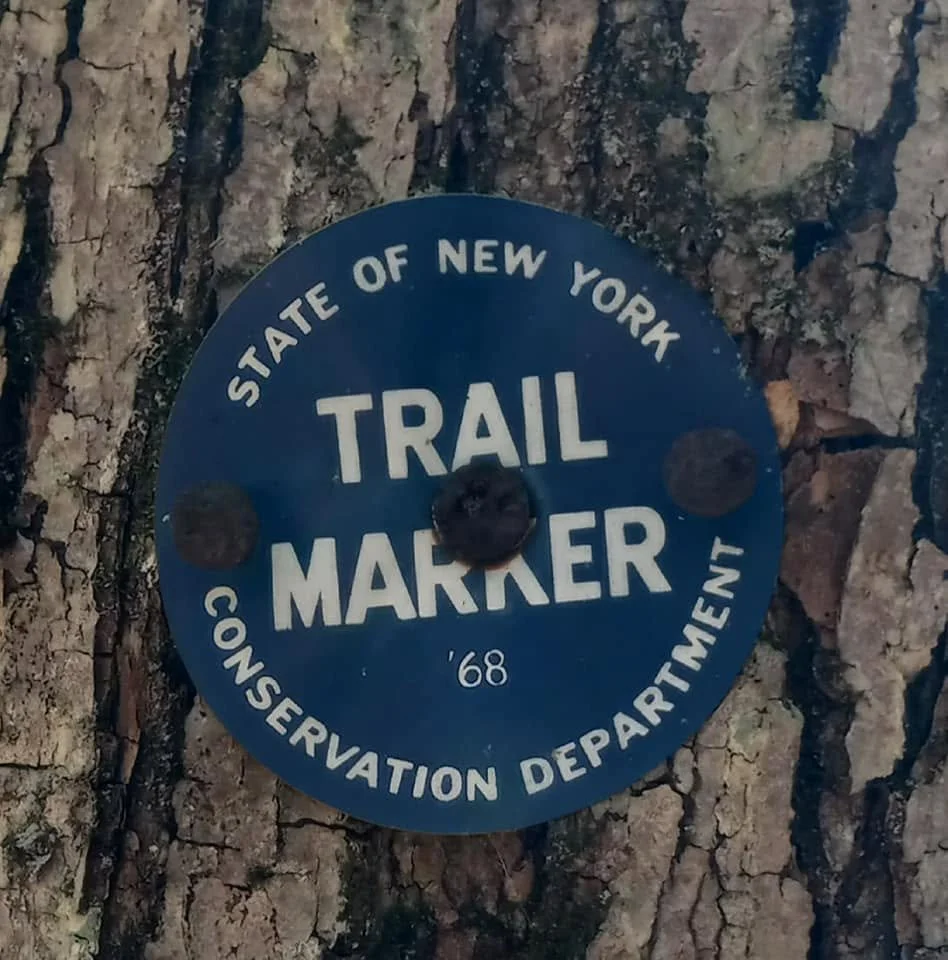 Little Spring Brook and Pelnor Hollow Trails