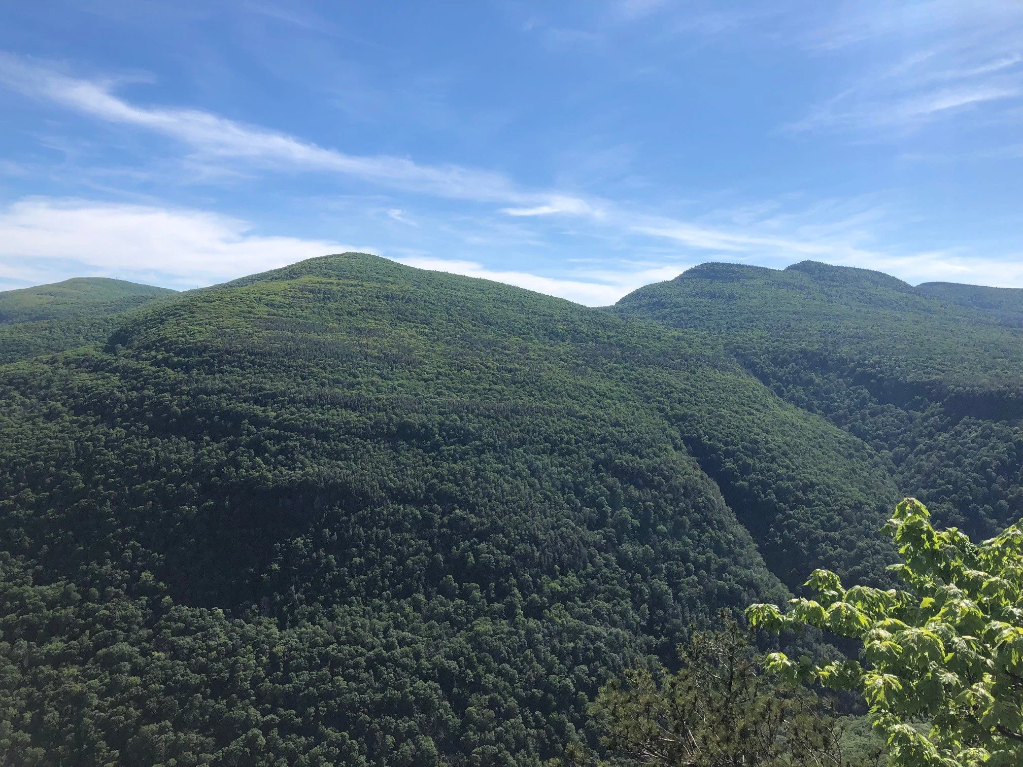 Catskill Point Huckleberry Point — Catskill Mountain Club