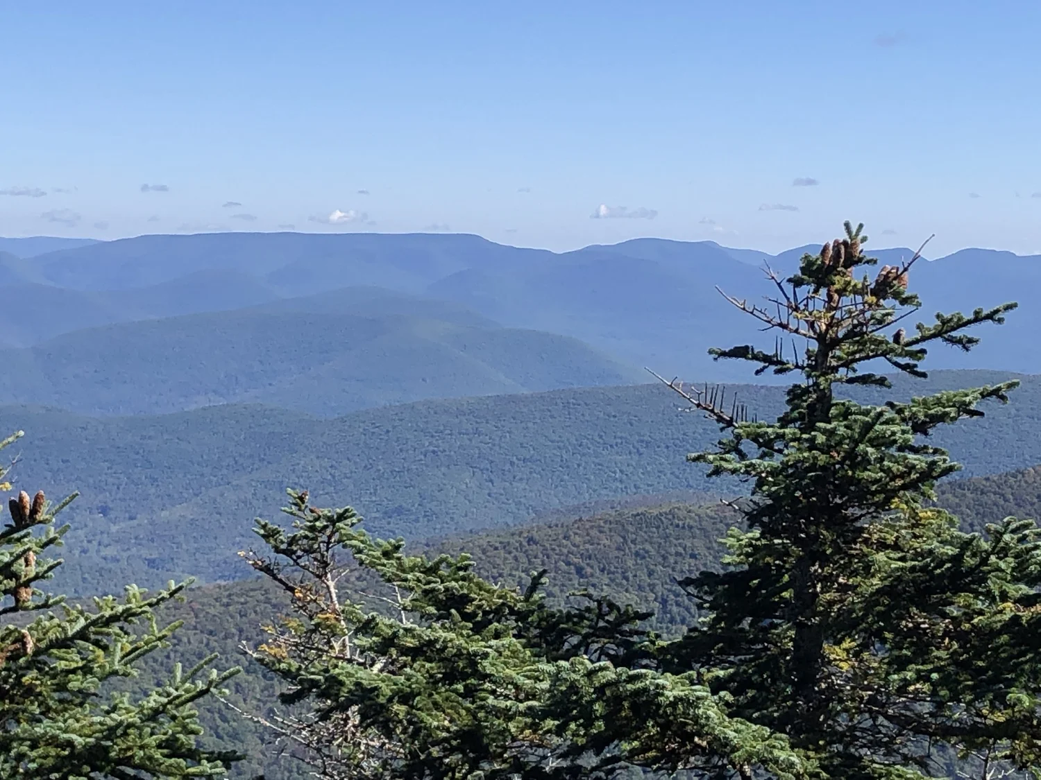 Hike Panther and Slide Mountains — Catskill Mountain Club