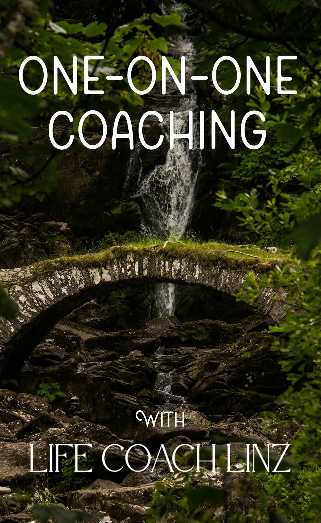 One-on-One Coaching.jpg