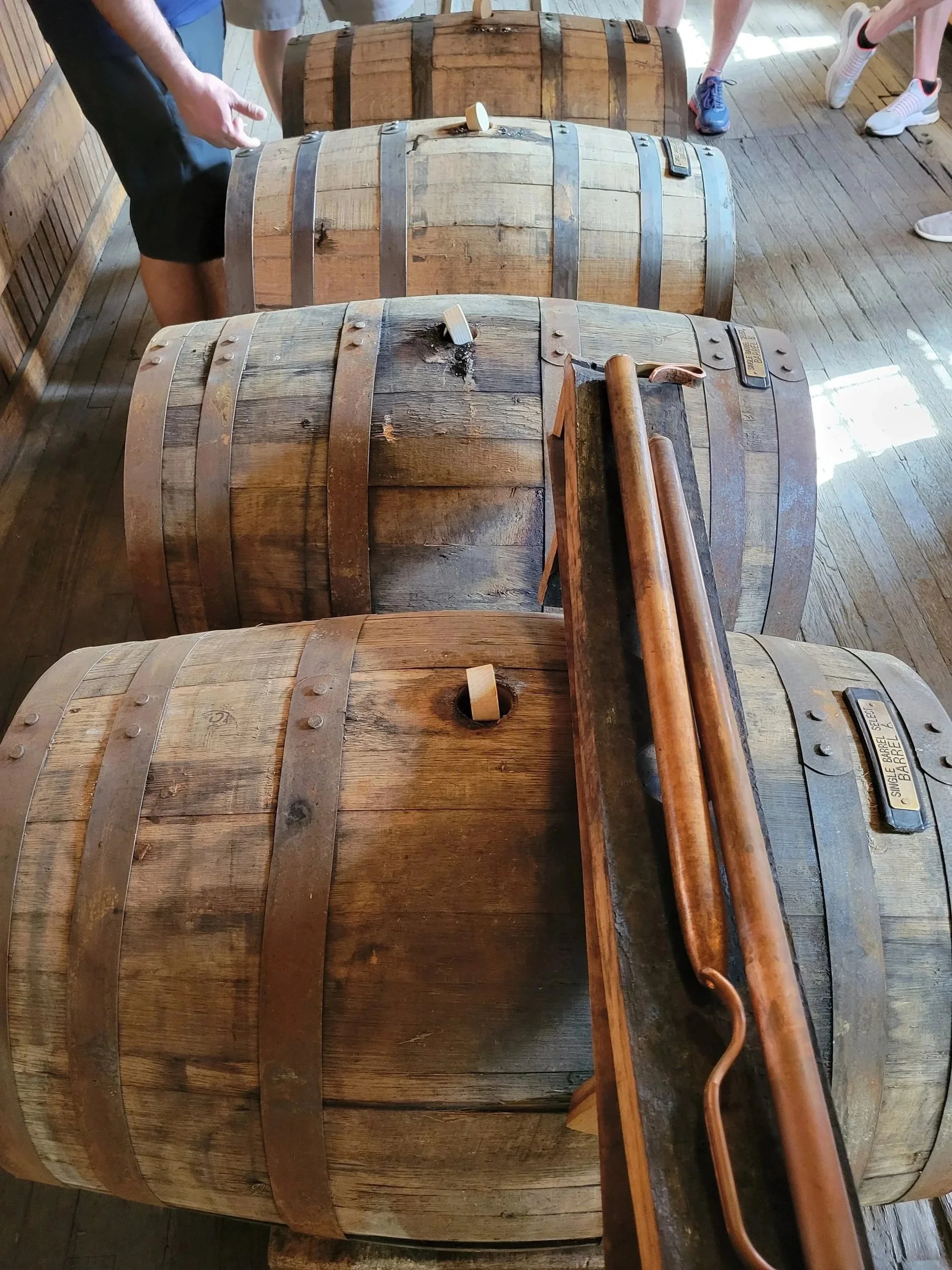 bourbon tour transportation