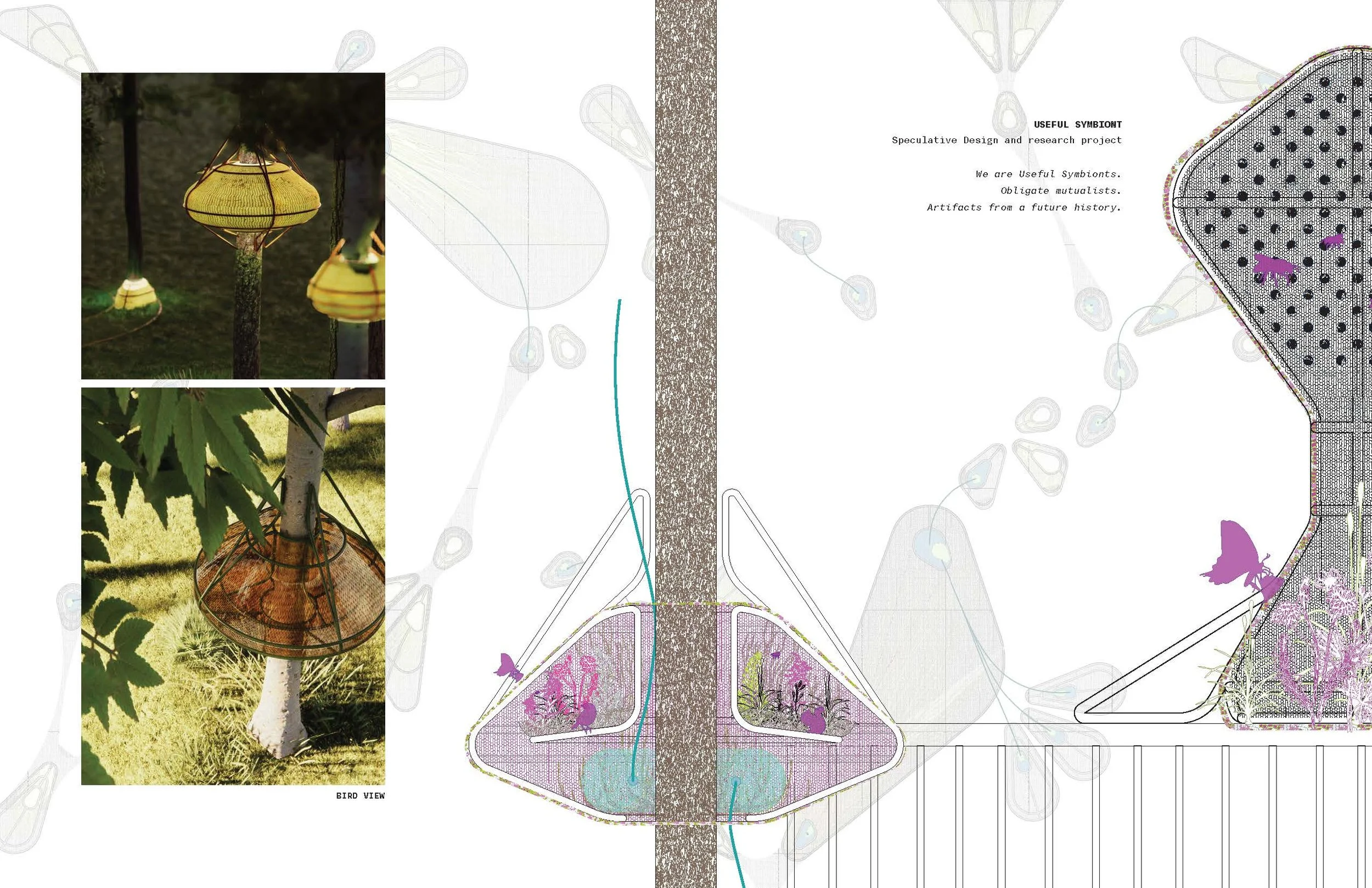 Useful_Symbiont_Project_2025_Page_03.jpg