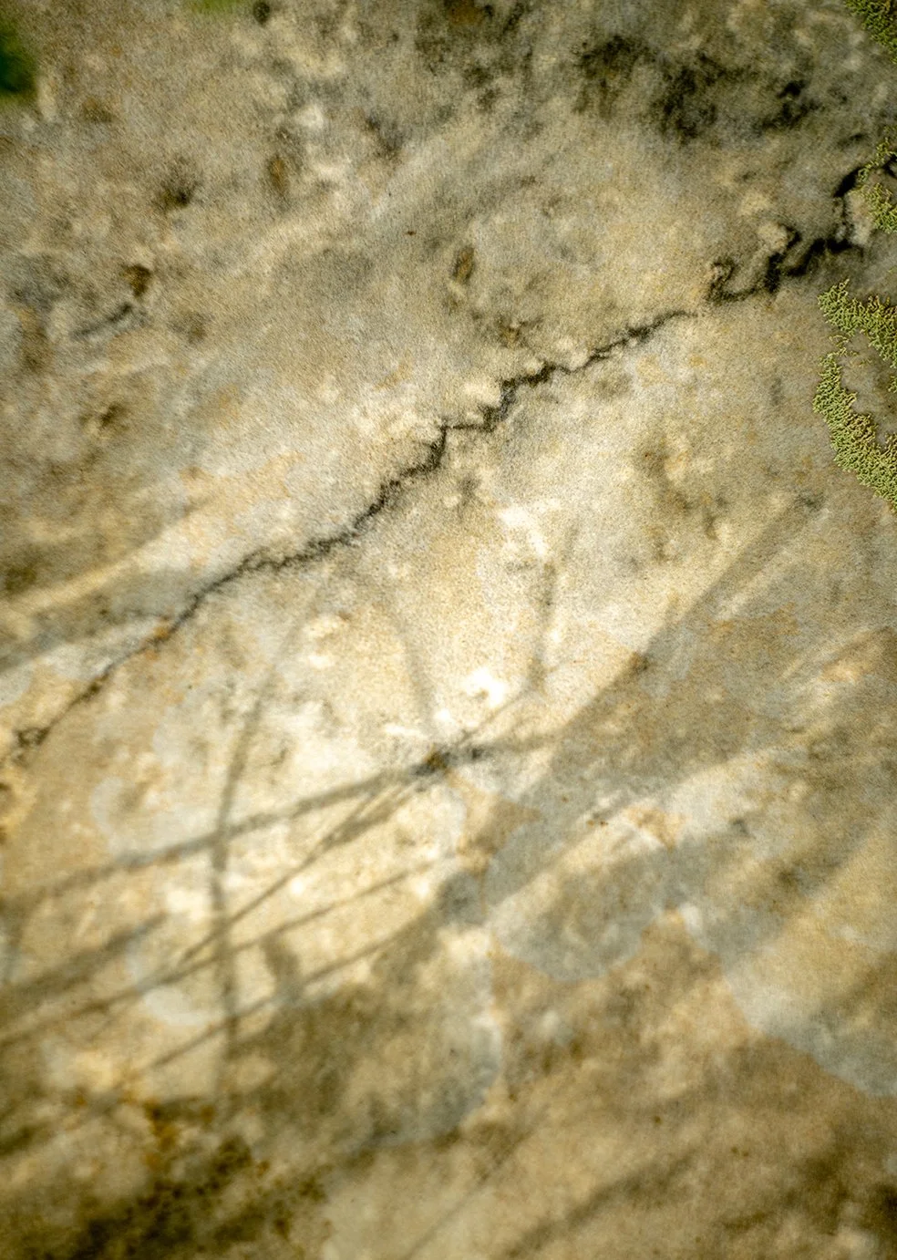 Wadmalaw Burial.jpg