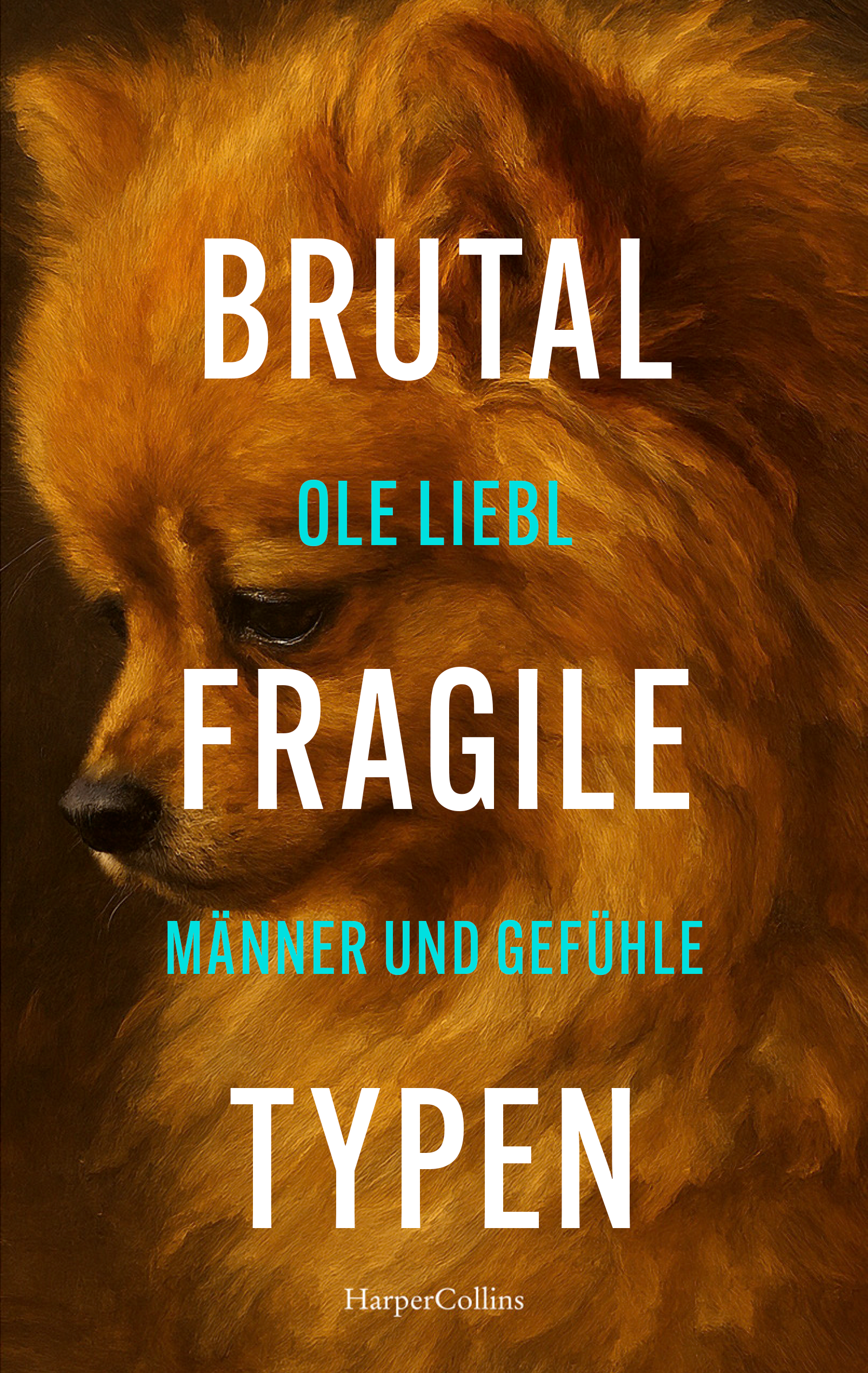 Cover des Buches Brutal Fragile Typen