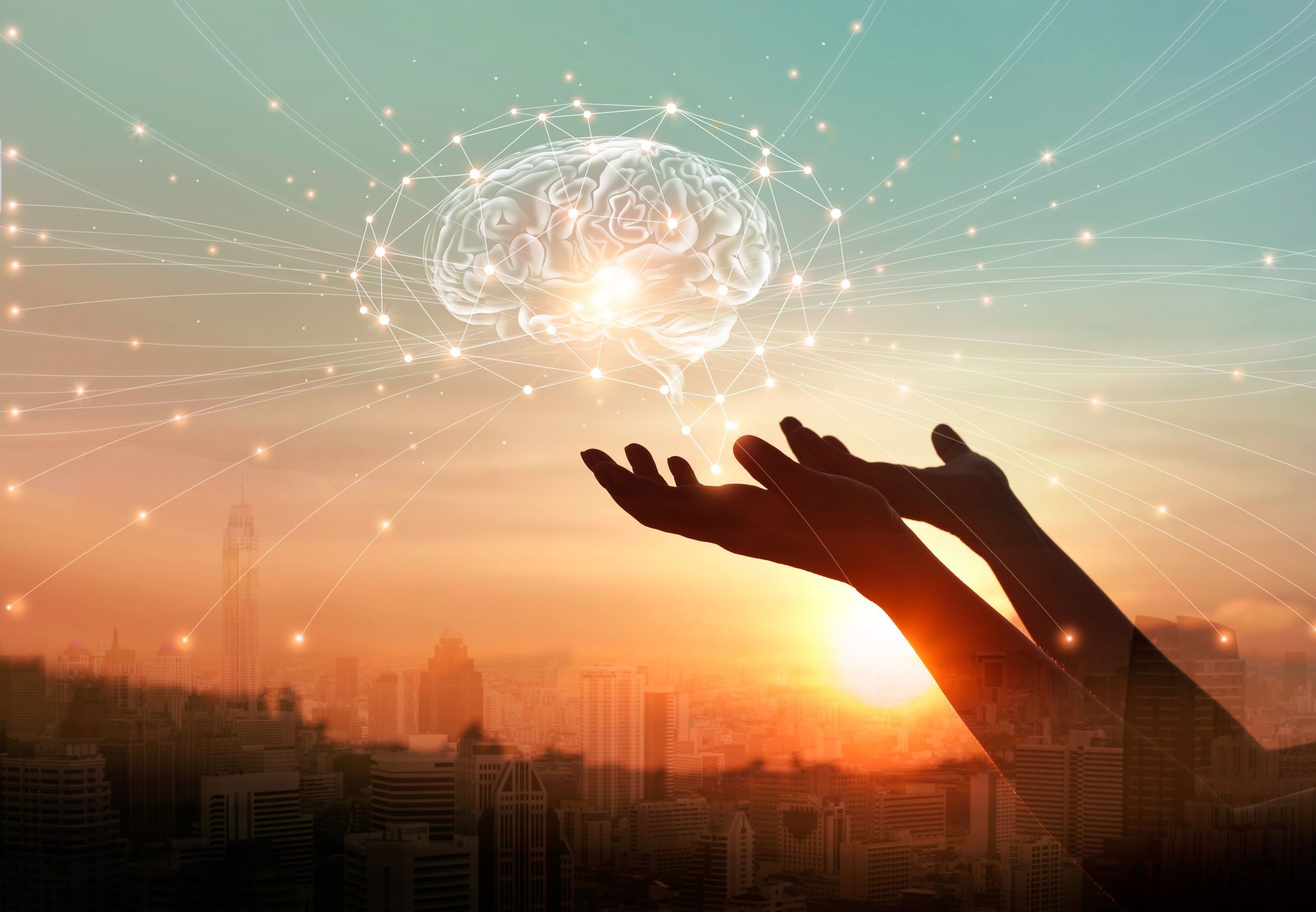 Observation Without Judgement and Your Brain