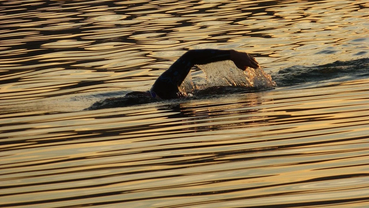 Swimmer performing freestyle stroke in a body of water during sunset.