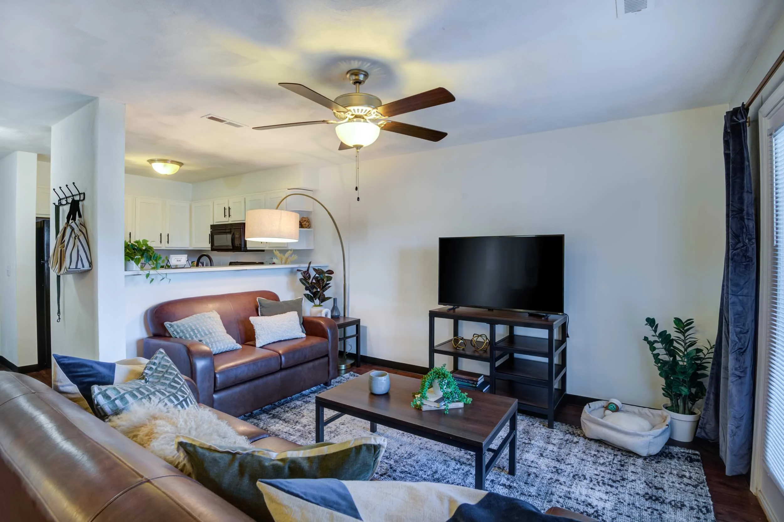 Arcadia Harrisonburg Apartments in Harrisonburg, VA