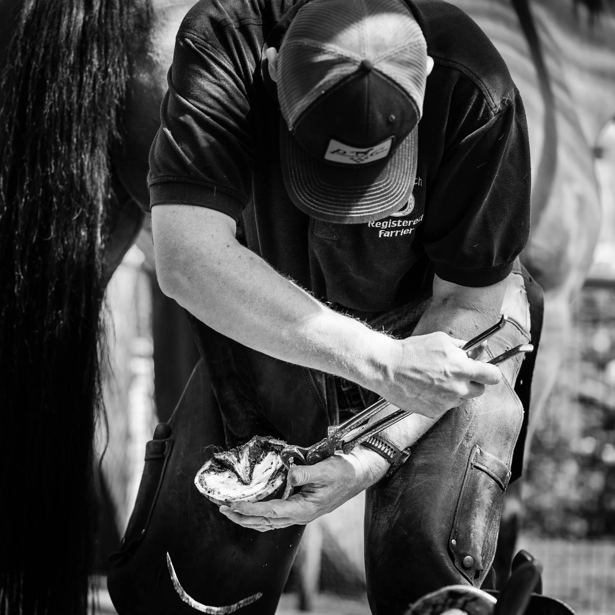Professional photograph of a farrier working on a horse’s hoof, highlighting precision, technique, and care. Captured by Knightpics Photography to showcase equine industry expertise and commercial photography services for businesses, brands, and trad
