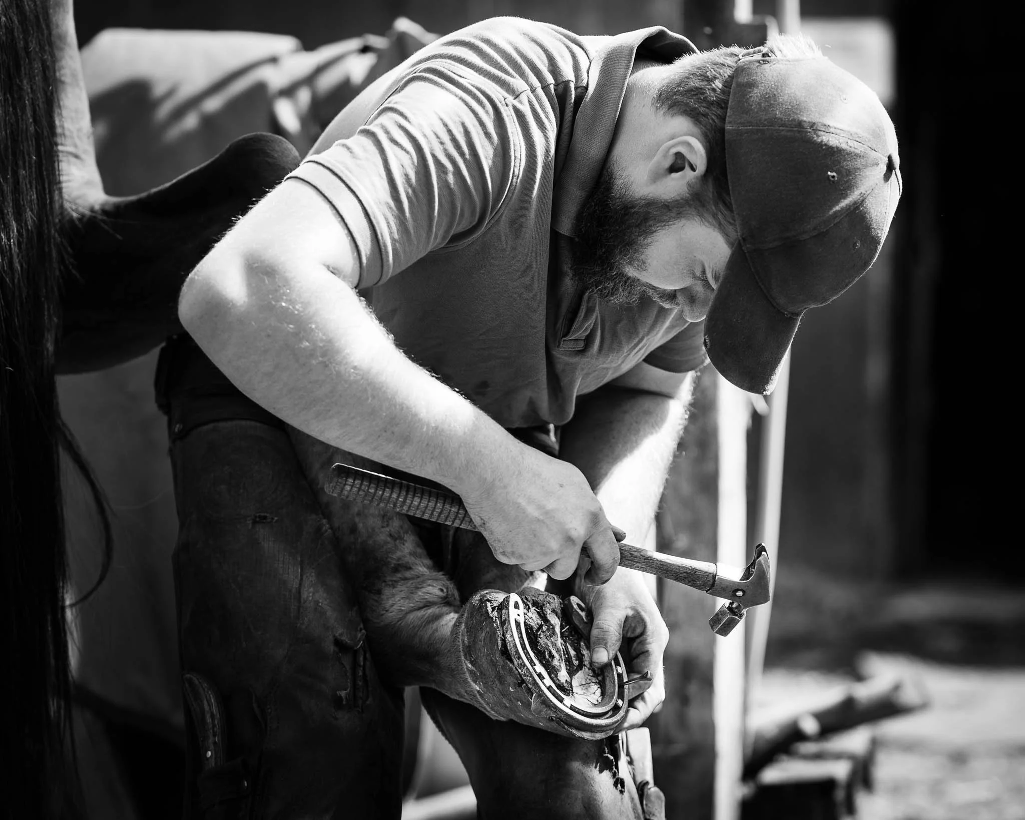Professional photograph of a farrier working on a horse’s hoof, highlighting precision, technique, and care. Captured by Knightpics Photography to showcase equine industry expertise and commercial photography services for businesses, brands, and trad