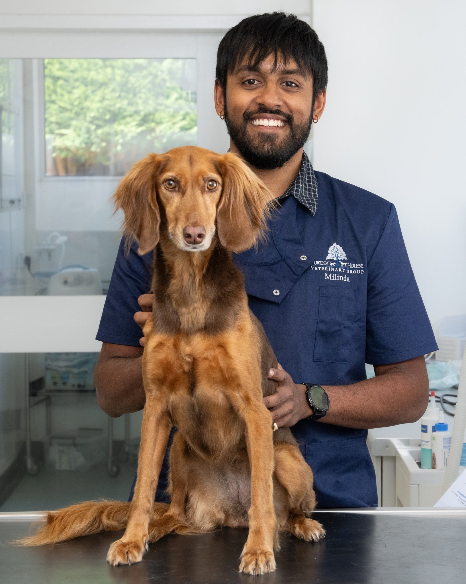Commercial veterinary photography featuring a smiling male veterinary surgeon holding a long-haired dog at Forest House Vets in Windsor. Captured as part of a professional branding and marketing photography project, this welcoming portrait highlights