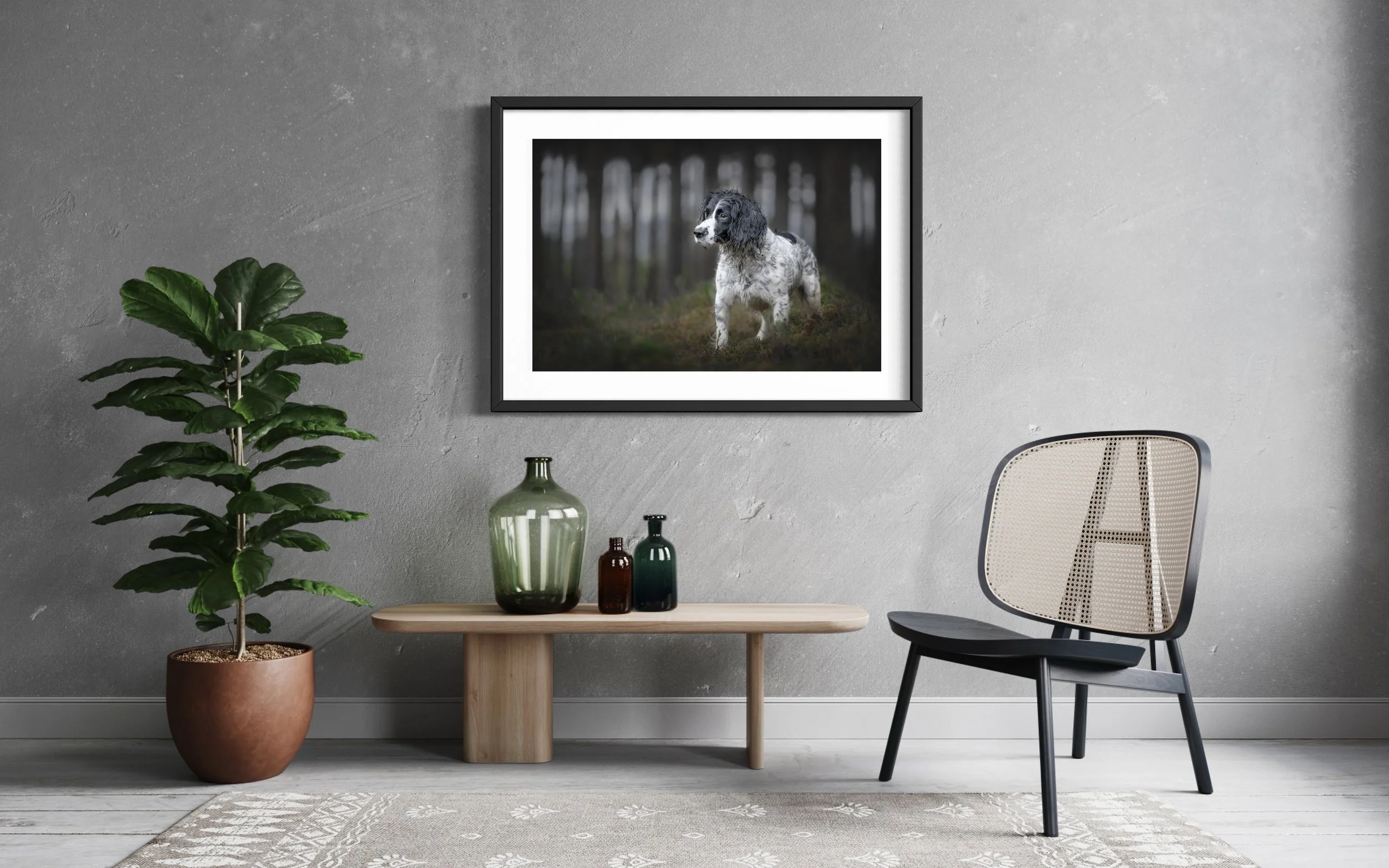 ine art framed portrait of a Springer Spaniel in a pine forest displayed on a wall