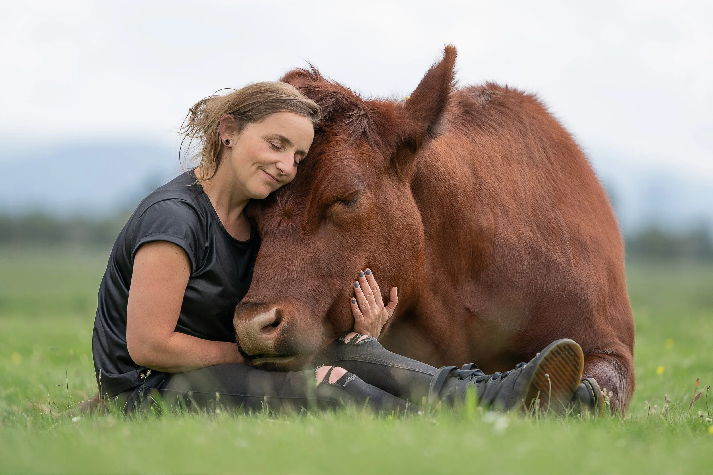 Emotive portrait of a girl sitting in a field cuddling her pet bull, capturing trust, calm animal handling and a strong human–animal bond.
