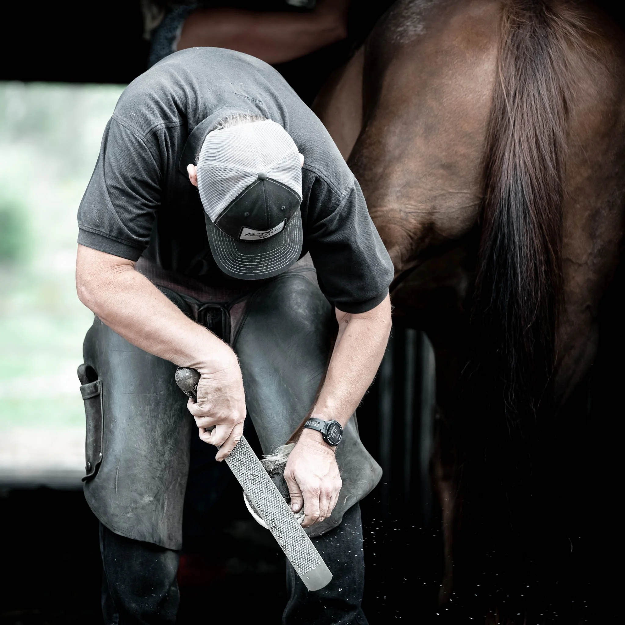 Professional photograph of a farrier working on a horse’s hoof, highlighting precision, technique, and care. Captured by Knightpics Photography to showcase equine industry expertise and commercial photography services for businesses, brands, and trad