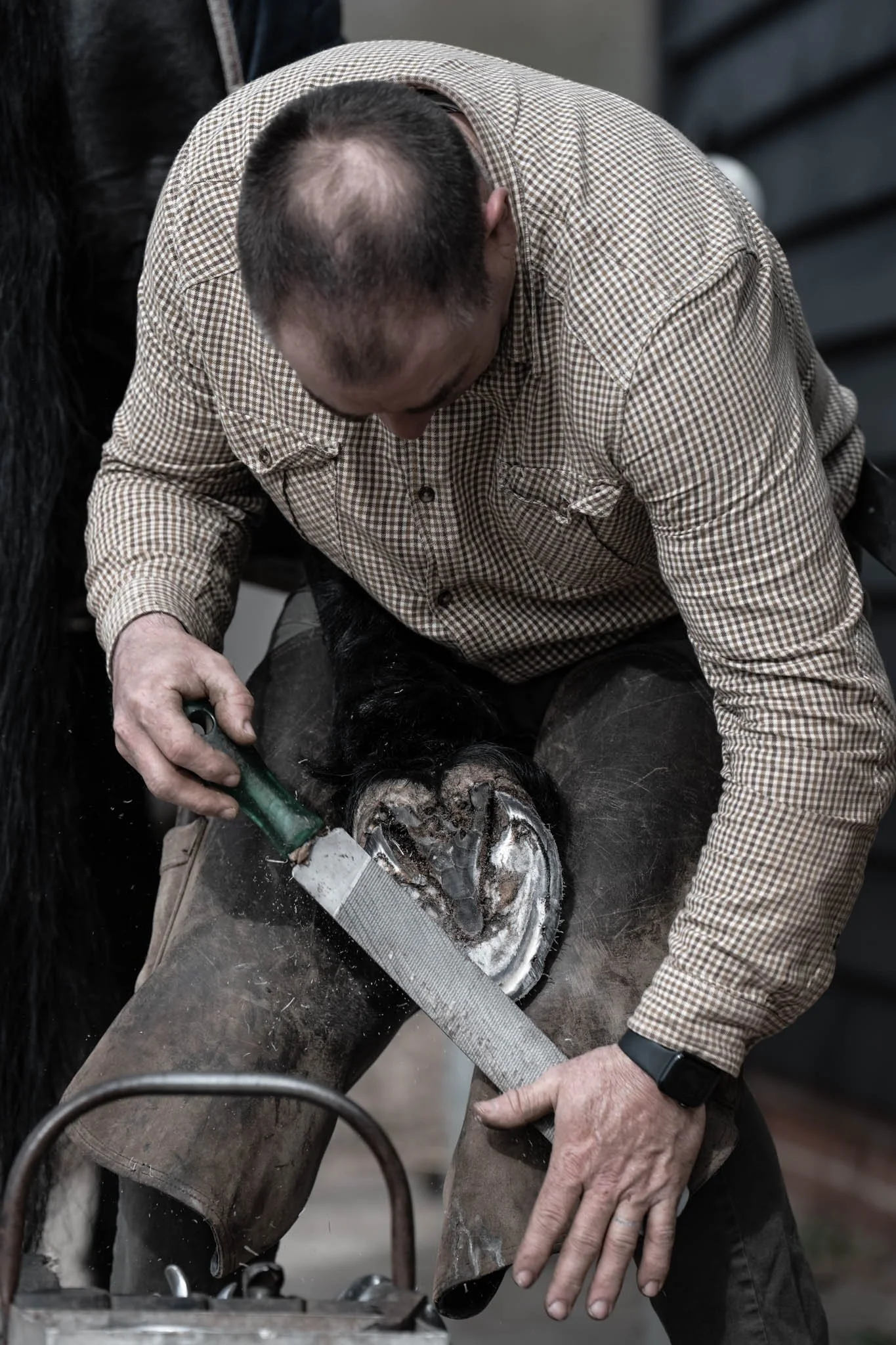 Professional photograph of a farrier working on a horse’s hoof, highlighting precision, technique, and care. Captured by Knightpics Photography to showcase equine industry expertise and commercial photography services for businesses, brands, and trad