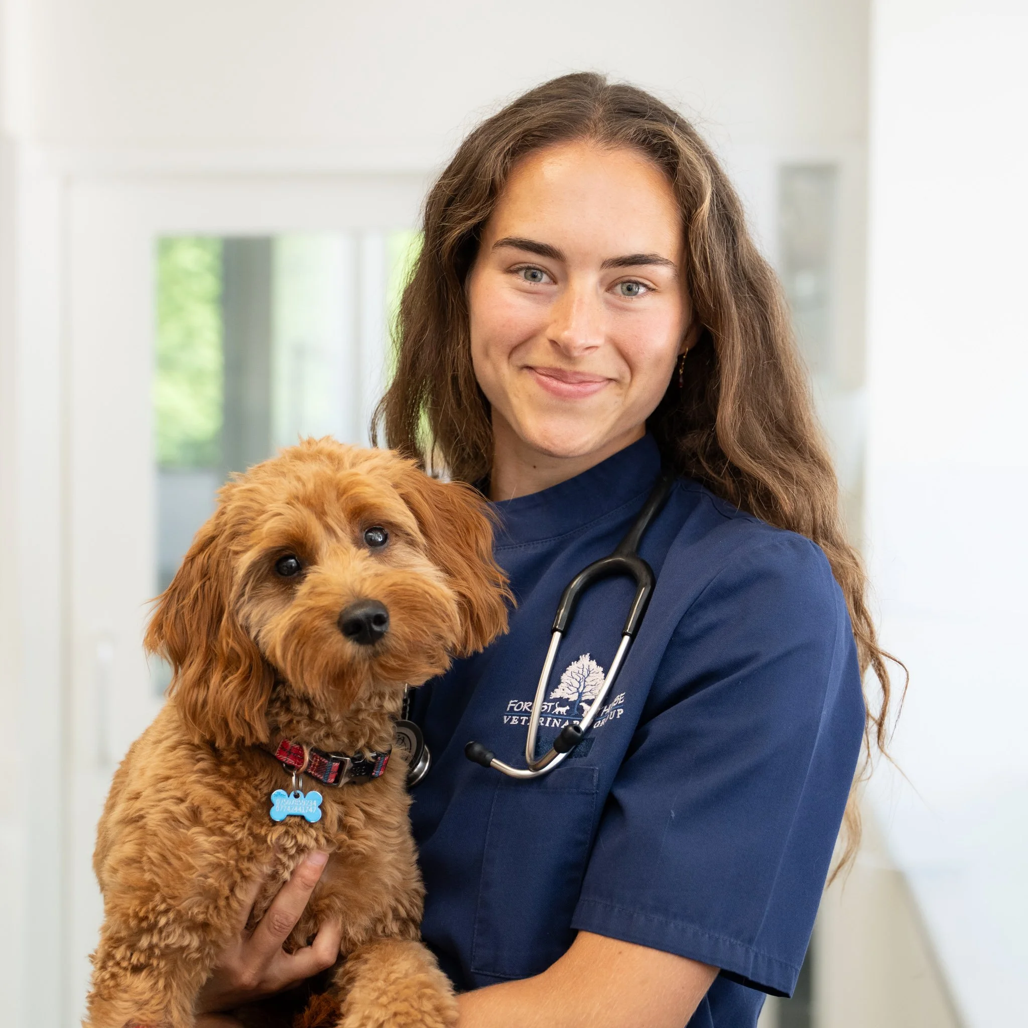 Commercial veterinary portrait photography featuring a smiling female veterinary professional holding a small brown dog at Forest House Vets in Windsor. Captured as part of a professional branding photography project, this relaxed portrait combines a