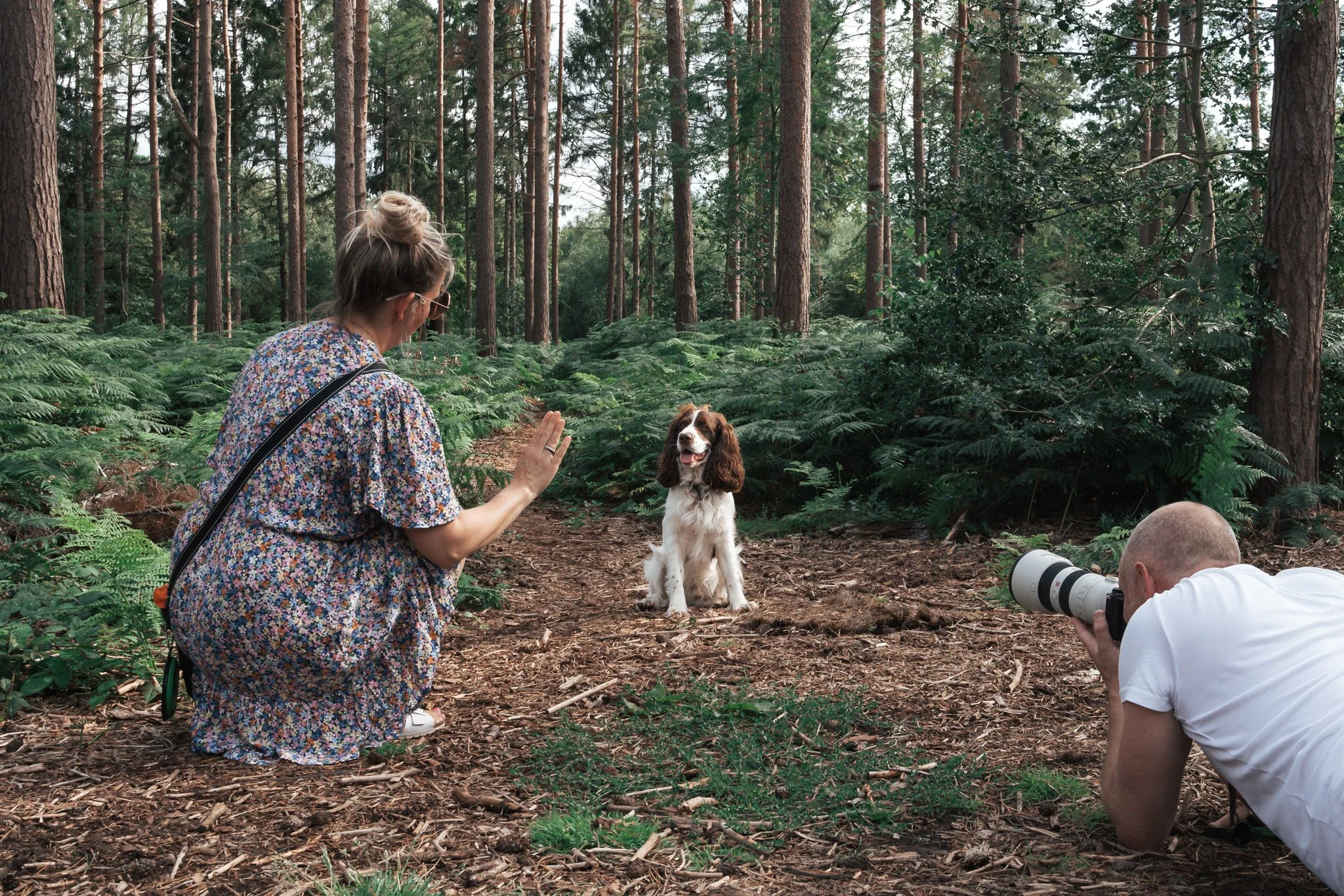 Photographer taking a photo of a Cocker Spaniel while the owner gives a stay command during a session with KnightPics Photography