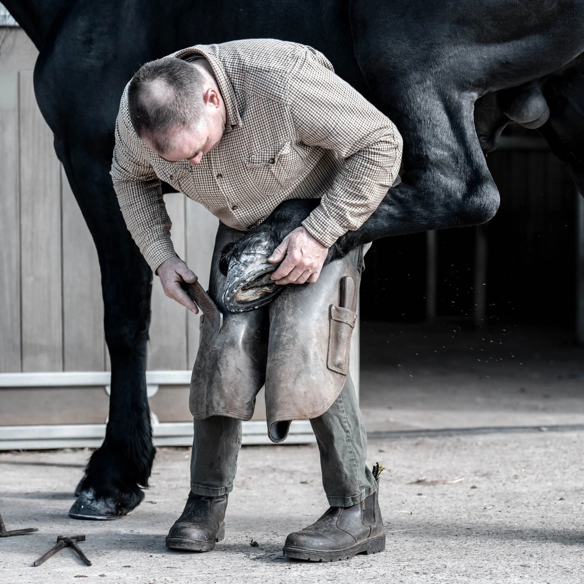 Professional photograph of a farrier working on a horse’s hoof, highlighting precision, technique, and care. Captured by Knightpics Photography to showcase equine industry expertise and commercial photography services for businesses, brands, and trad