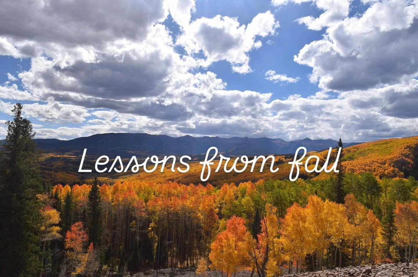 We can learn so much from fall. I often think, how beautiful that people from all over seek out the changing and shedding of leaves, celebrating and embracing the beauty knowing it’s temporary. Here are some lessons from fall that I learned whi