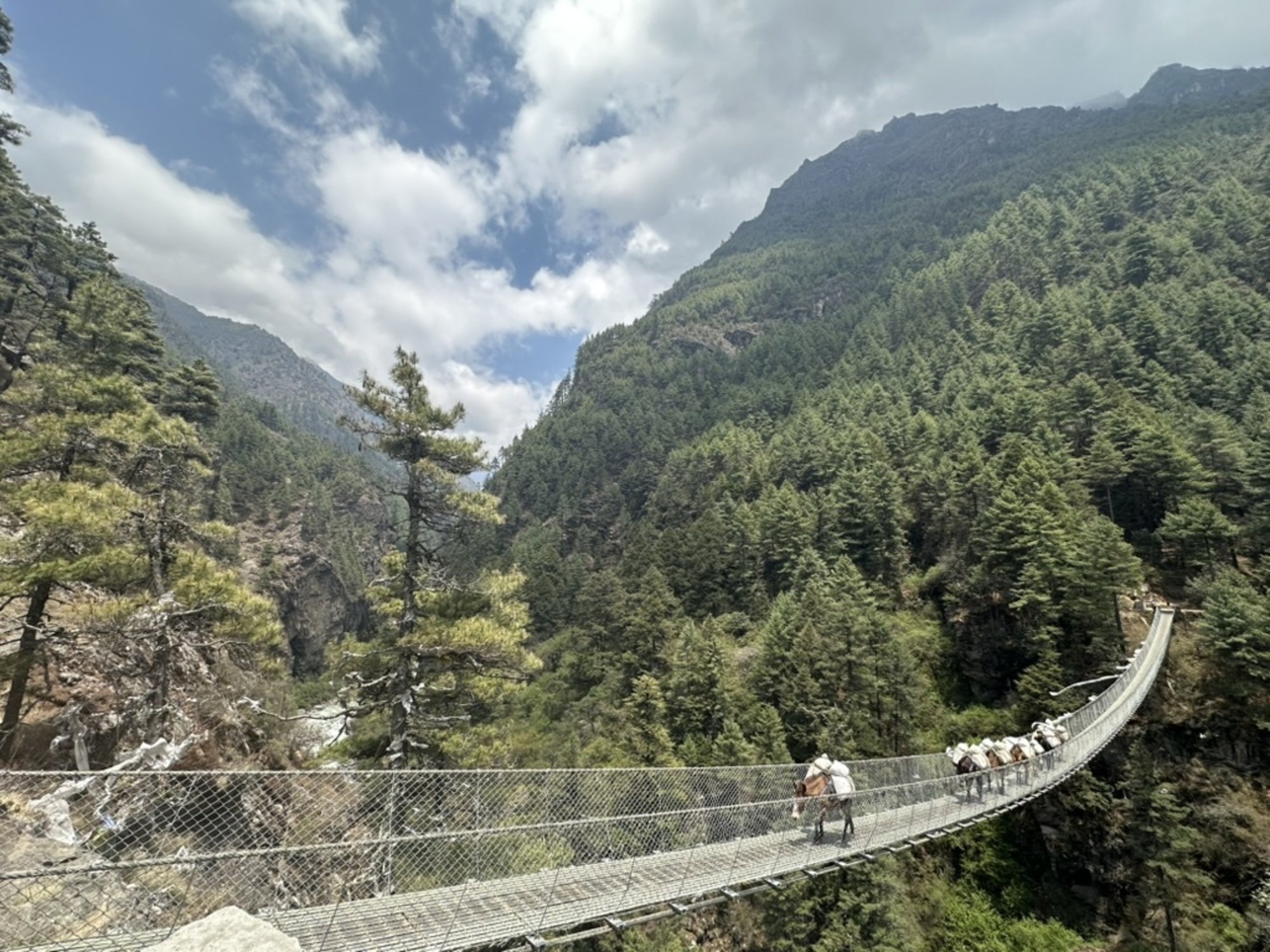 25 Everest 005.jpg