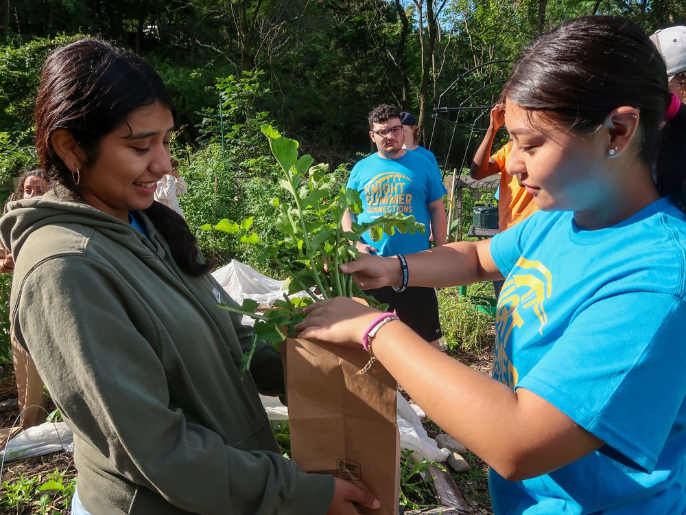   Freshmen harvested vegetables and other goodies at the Sanctuary Healing Gardens.  