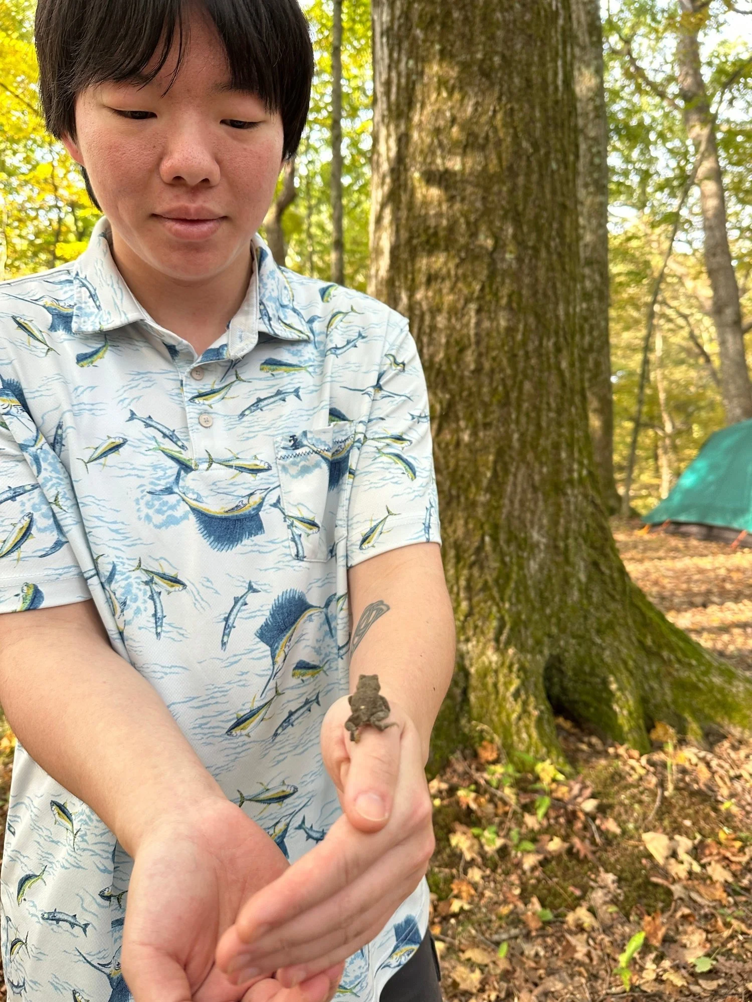   Jae Lembo examines a toad on a recent camping trip hosted by Doug Robinson.  