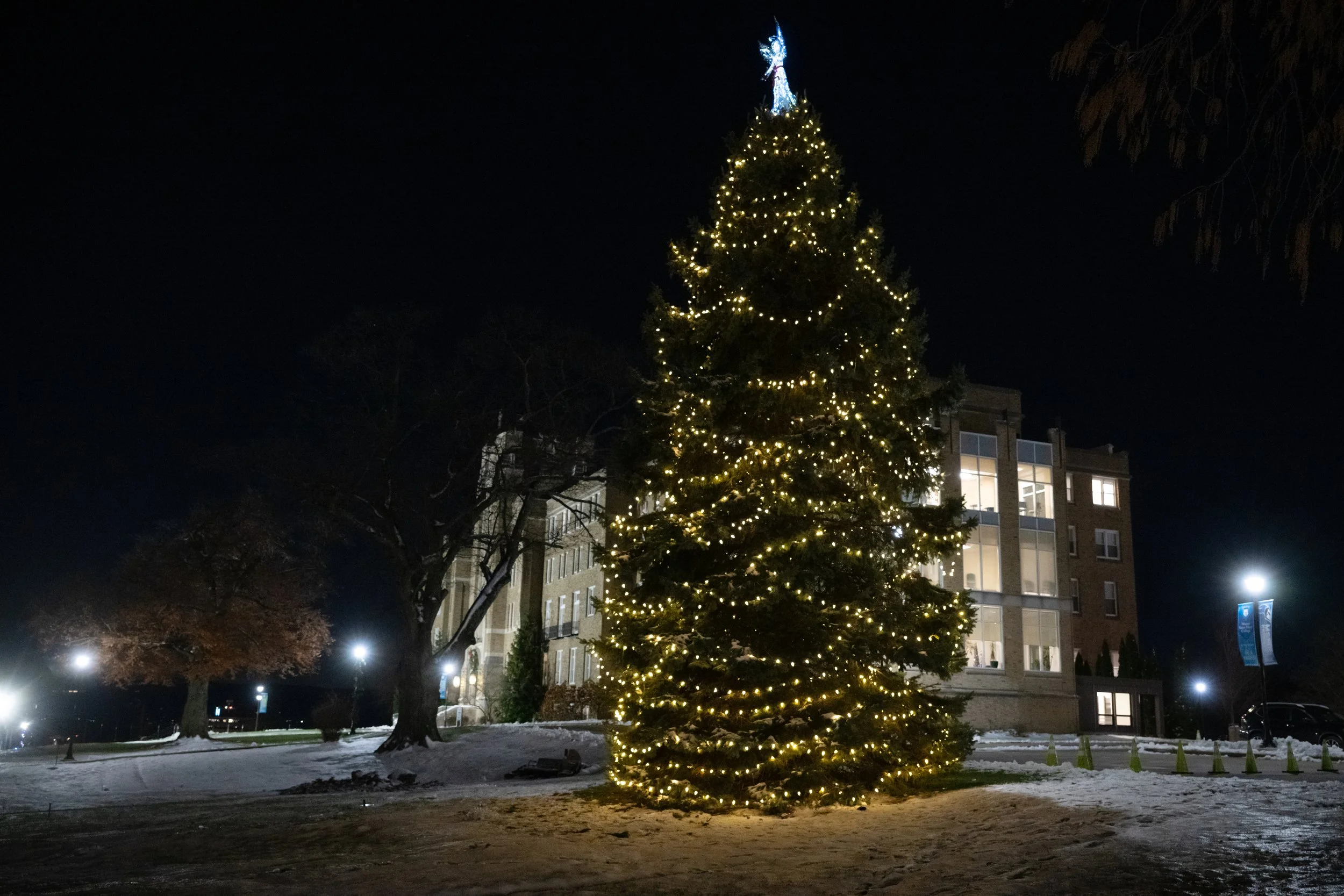   The Mount Christmas tree shined brightly, marking the official start of the holiday season on campus.&nbsp;  