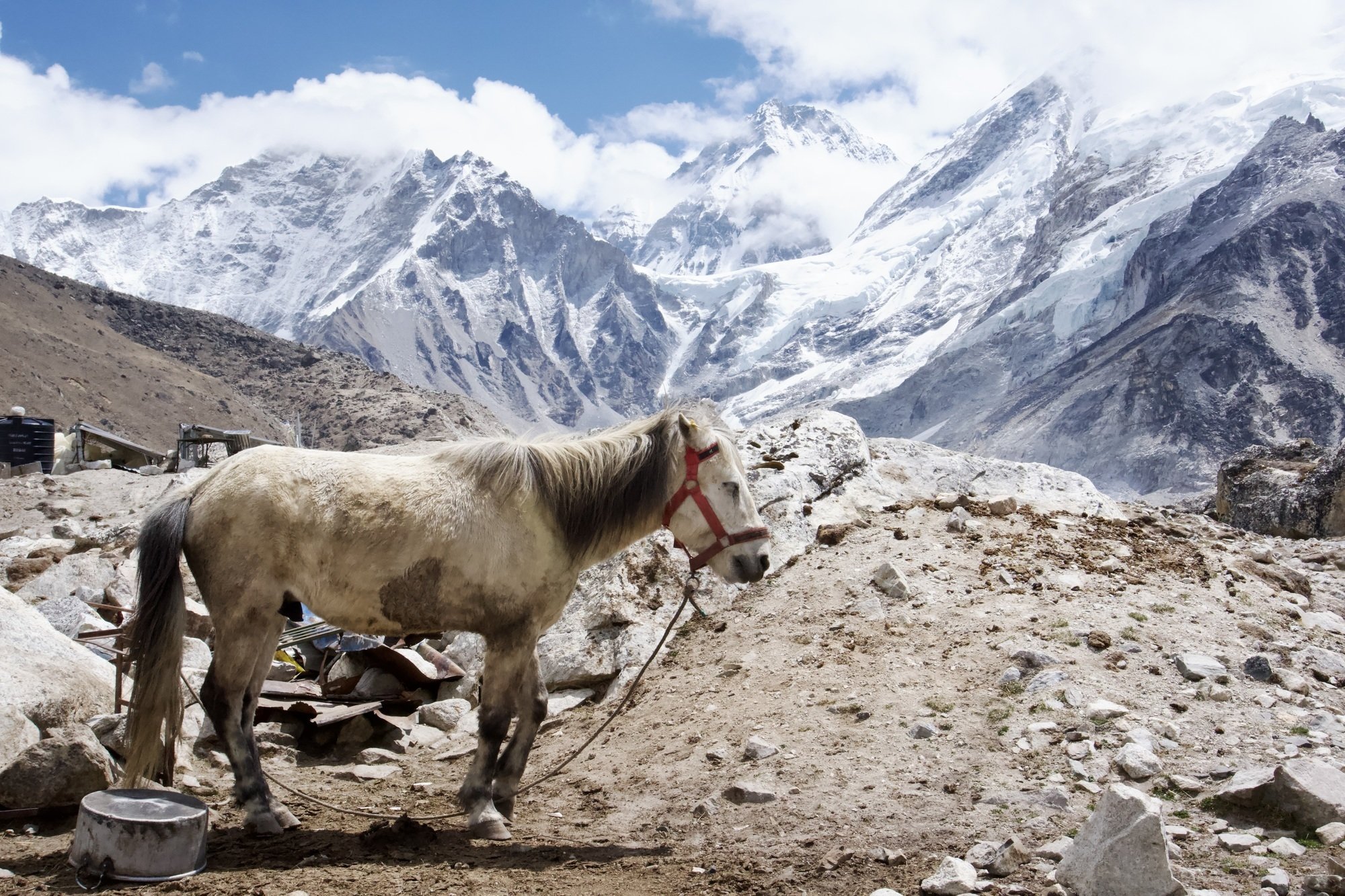 25 Everest 001.jpg