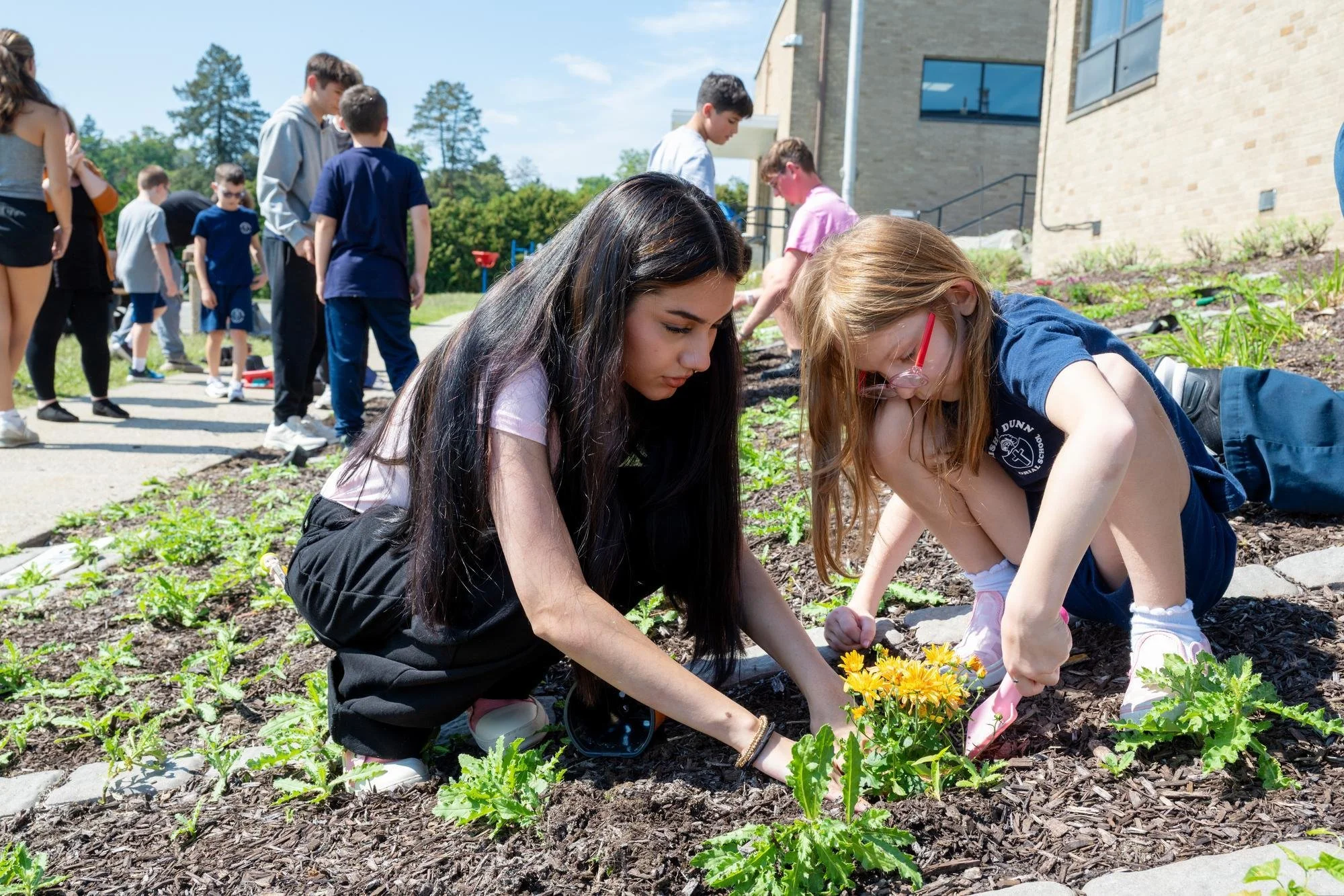 26 Flower Planting  5695.jpg 5695.jpg