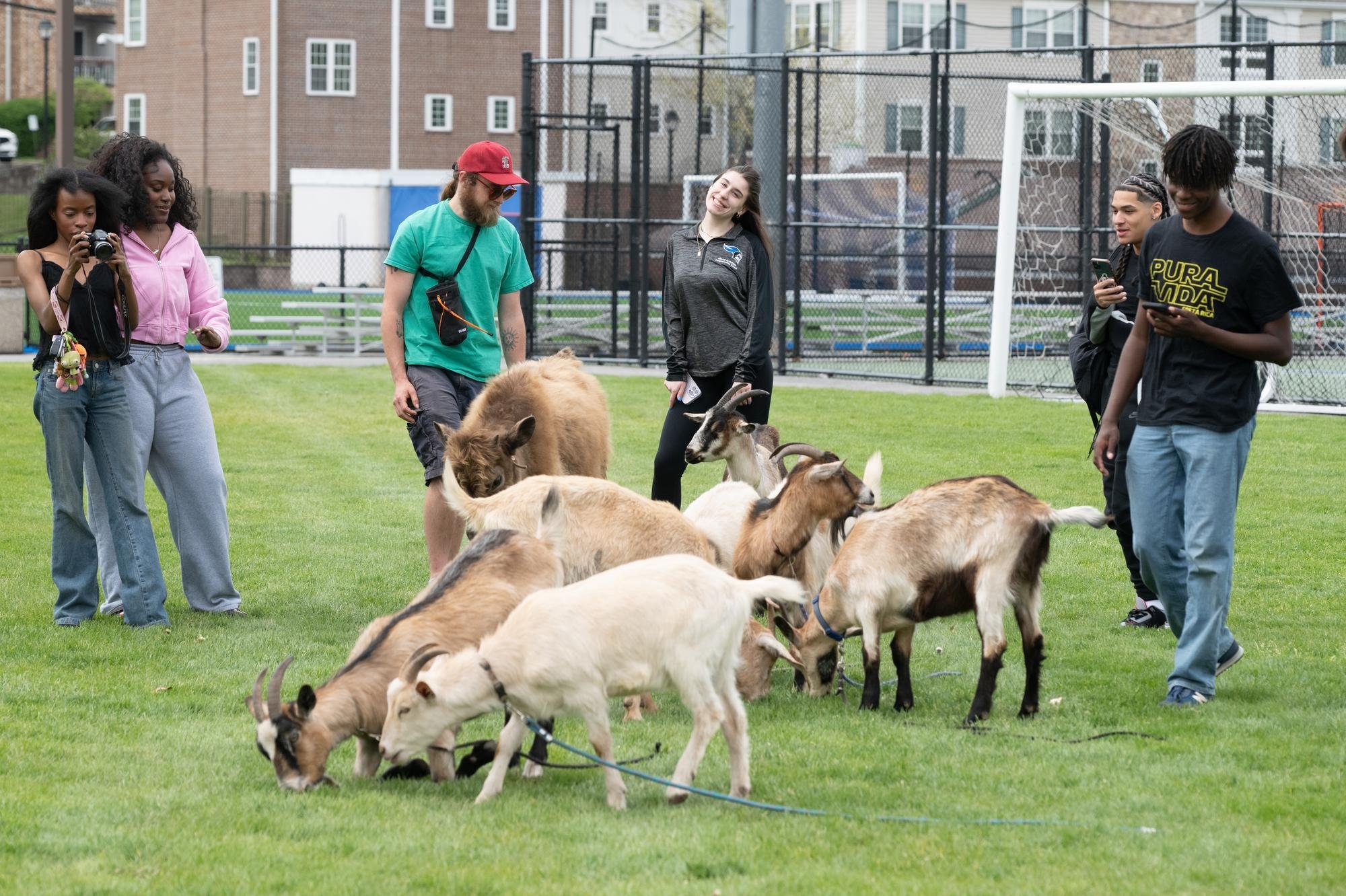 726 NOTES ENGAGE PETTING 2385.jpg