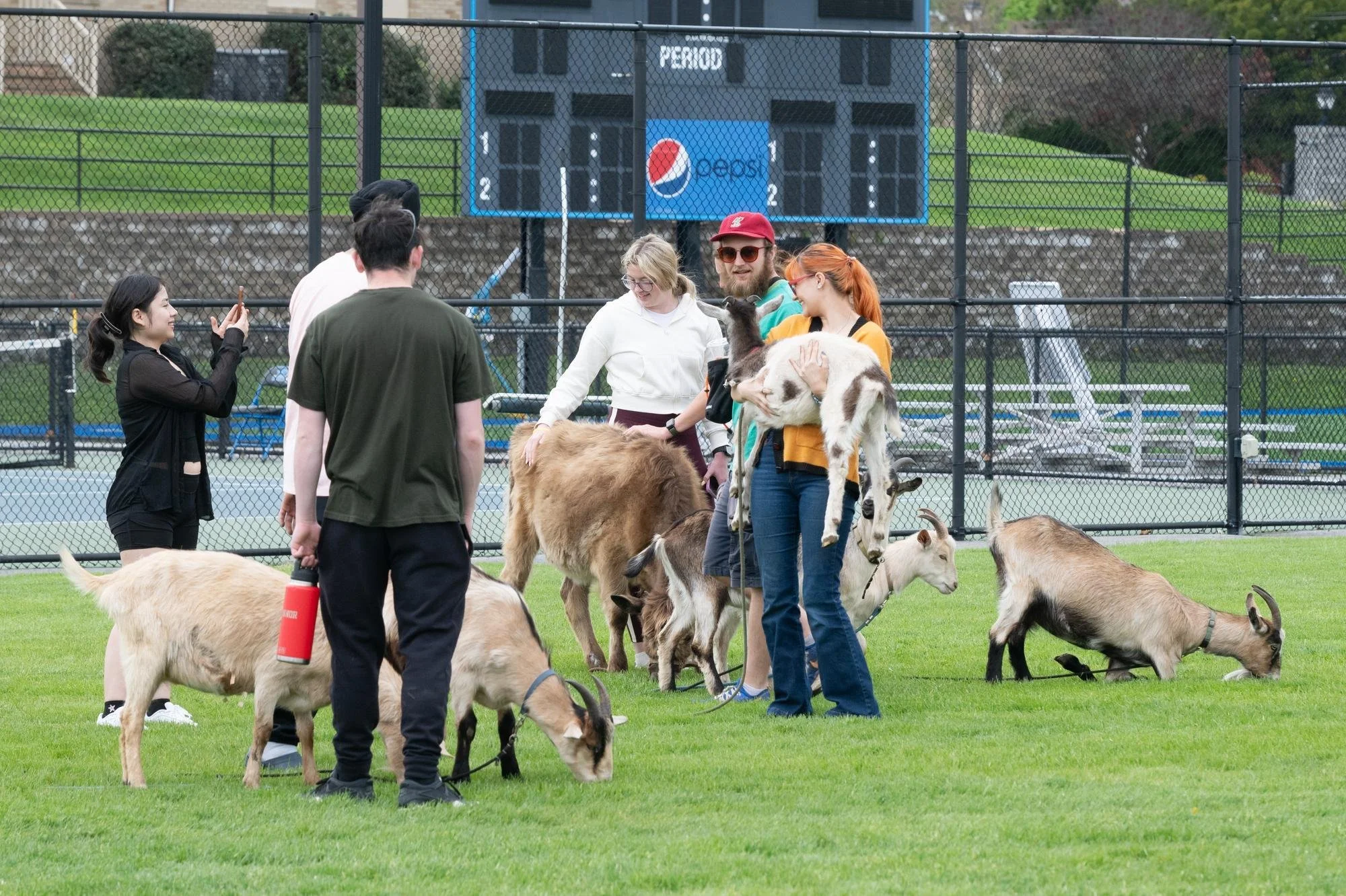726 NOTES ENGAGE PETTING 2766.jpg