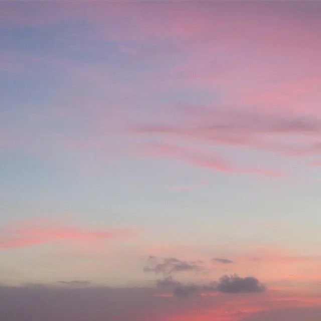 Juicy Sunsets