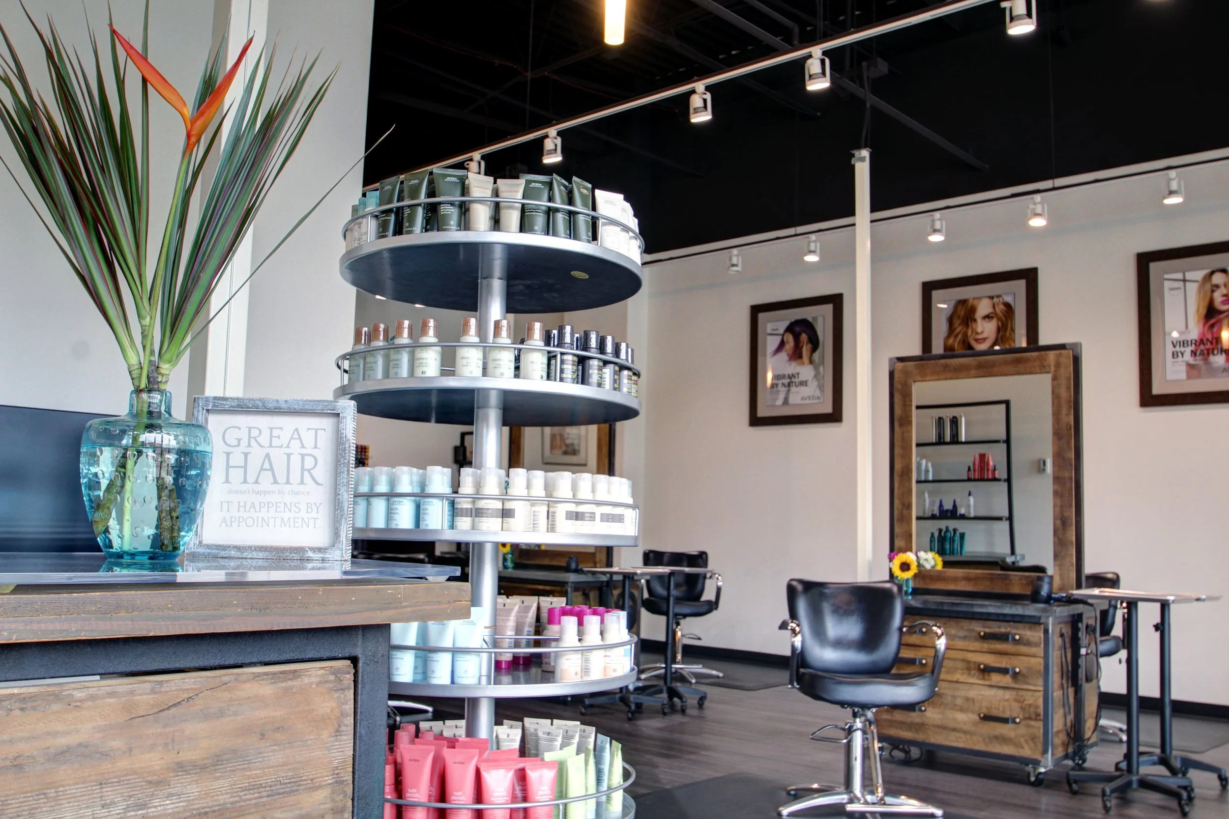 Interior of a hair salon with shelves of hair products, framed posters of women with styled hair, a large mirror, a black salon chair, a wooden styling station, and a vase with a large green plant and orange flowers.