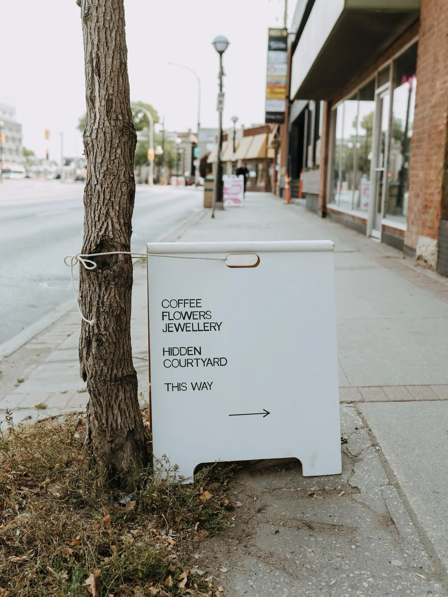 Find me HERE, with all of my favorite things. ☕️💐
.
.⁠
.⁠
#manitobaphotographer #winnipegphotographer⁠
#winnipegbrandphotography #manitobabrandphotographer⁠
#lauraloewenphotography⁠
#winnipegrealestate⁠ #winnipegstudiophotographer #sundayave.ca #sun