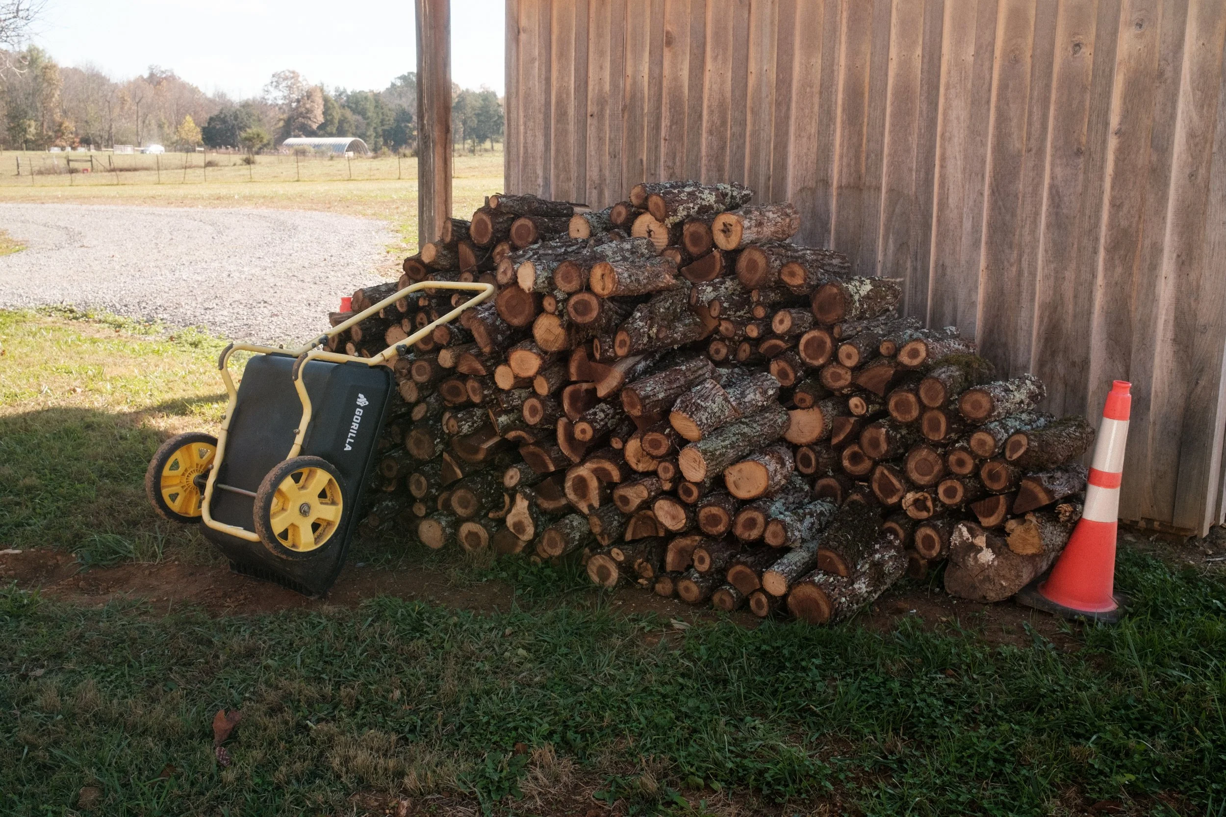 Firewood