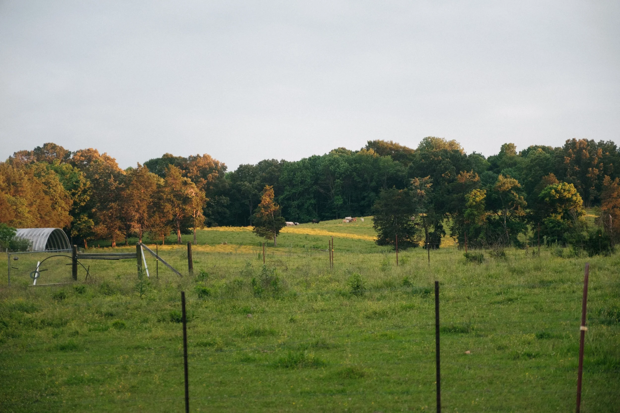 FarmLand.jpg
